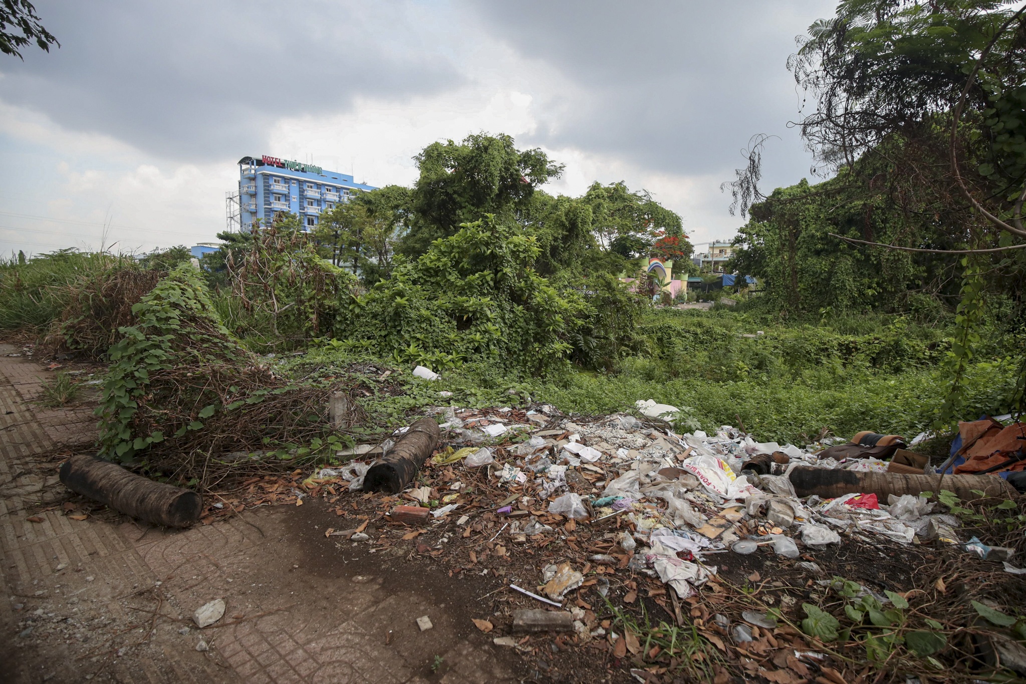 Vanh dai 2 TPHCM anh 6