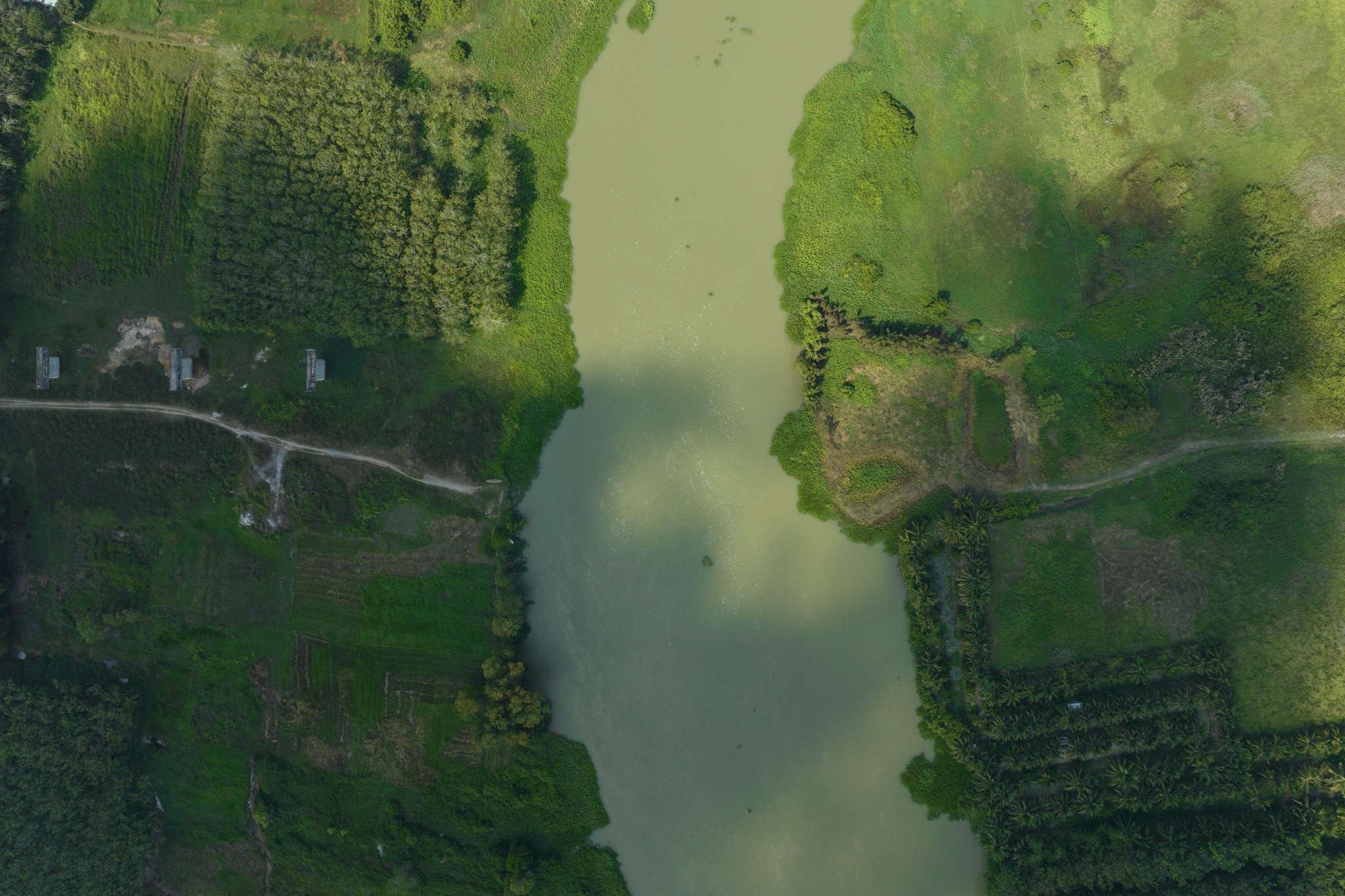 Cau Binh Duong Tay Ninh anh 9