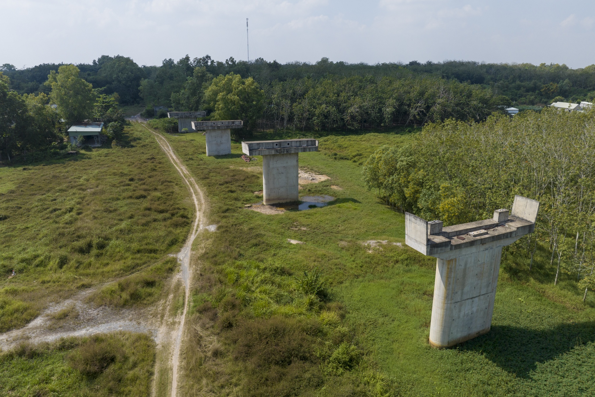 Cau Binh Duong Tay Ninh anh 8