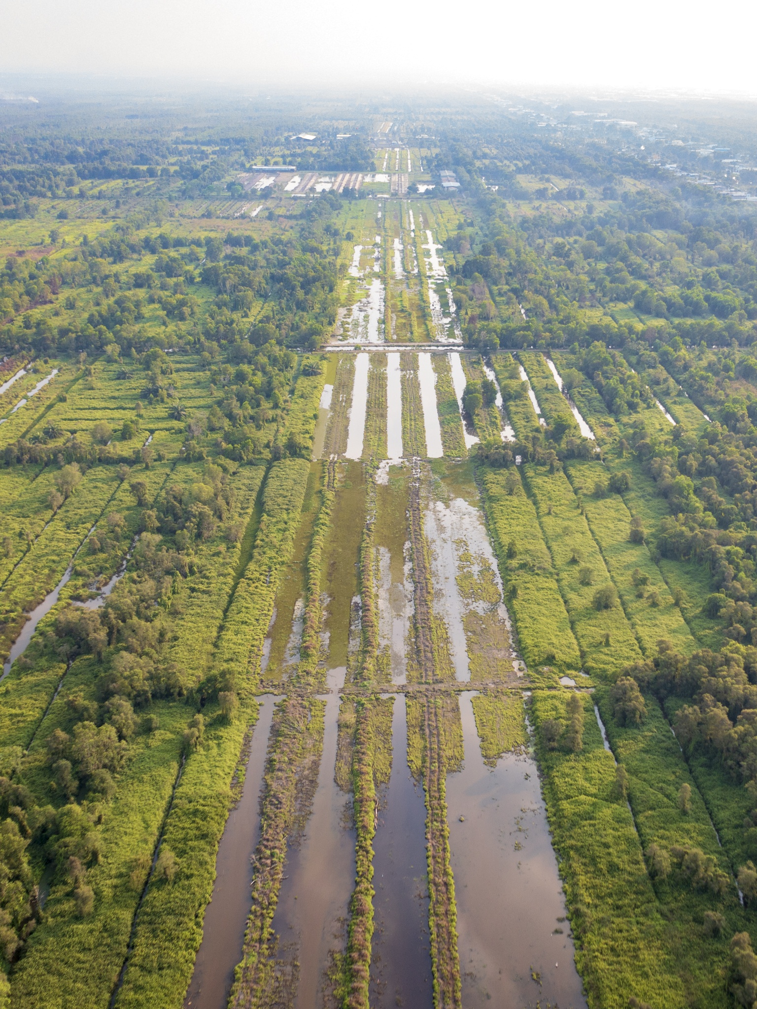 Vanh Dai 3 Hoc Mon anh 11