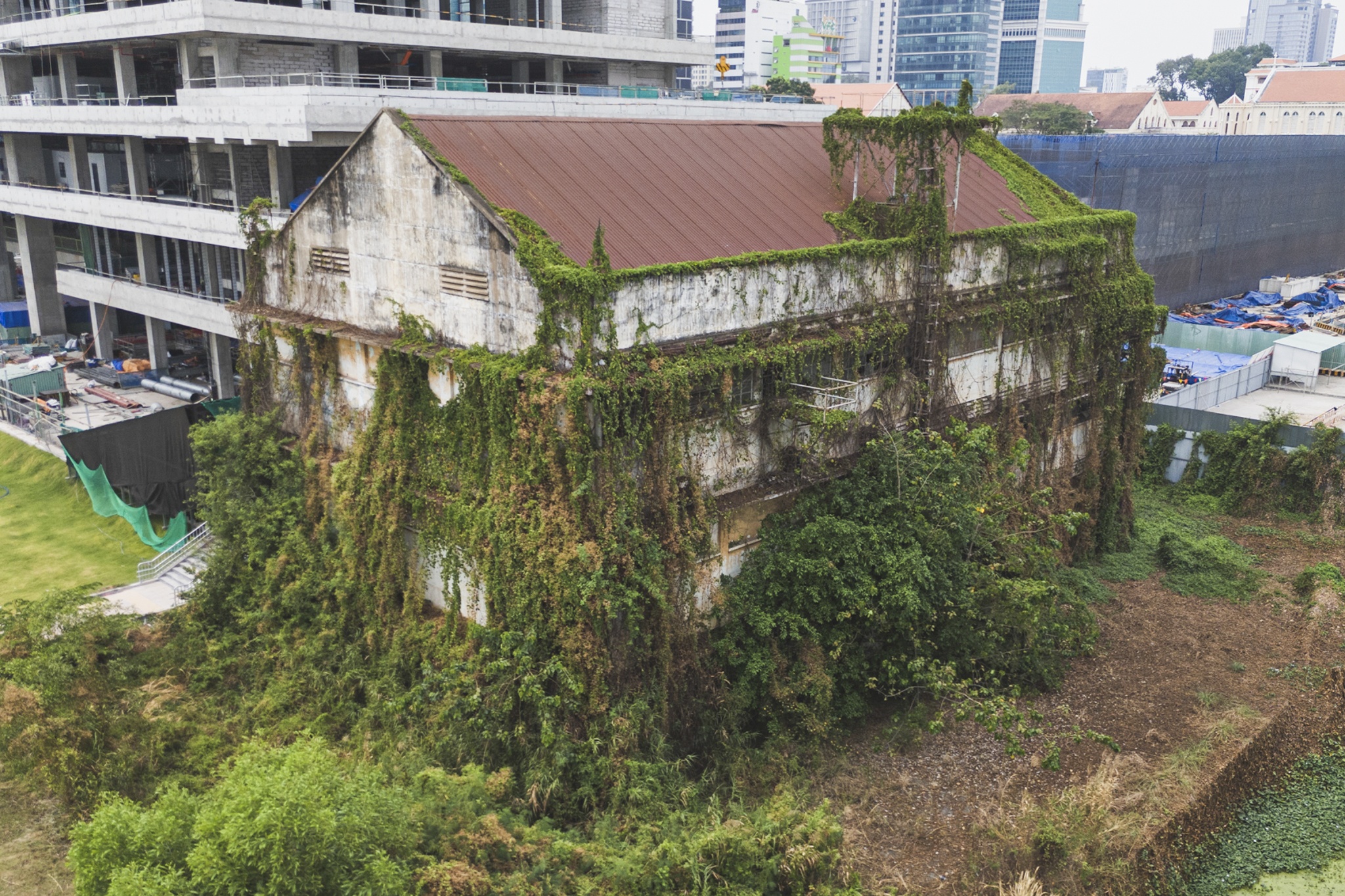 Reu phong, co dai moc quanh di tich u tau Ba Son hinh anh