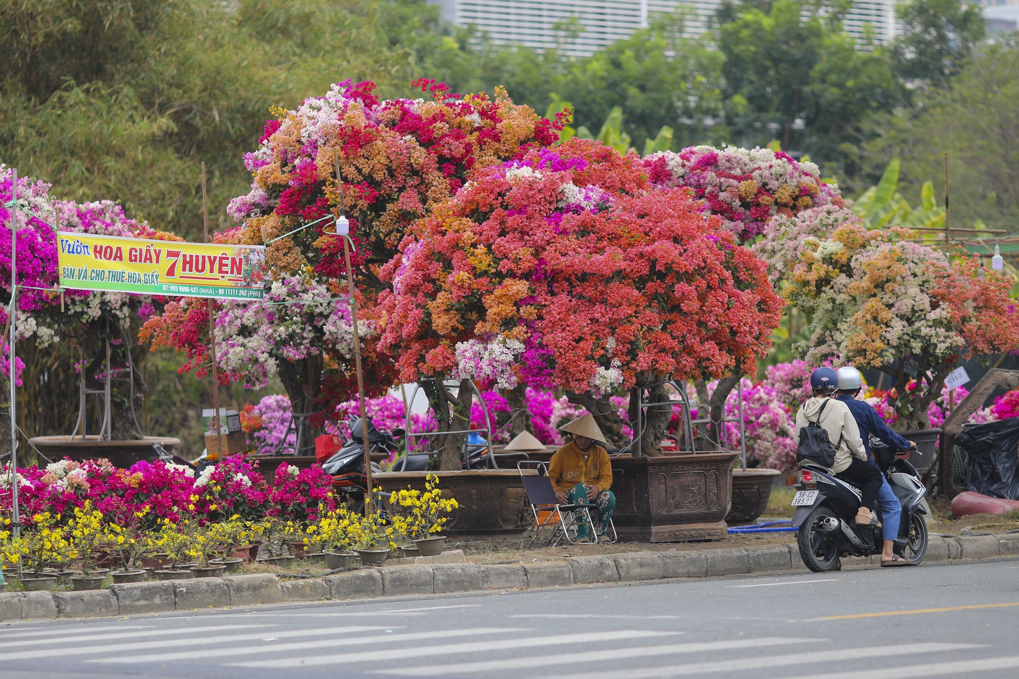 cho hoa phu my hung anh 1