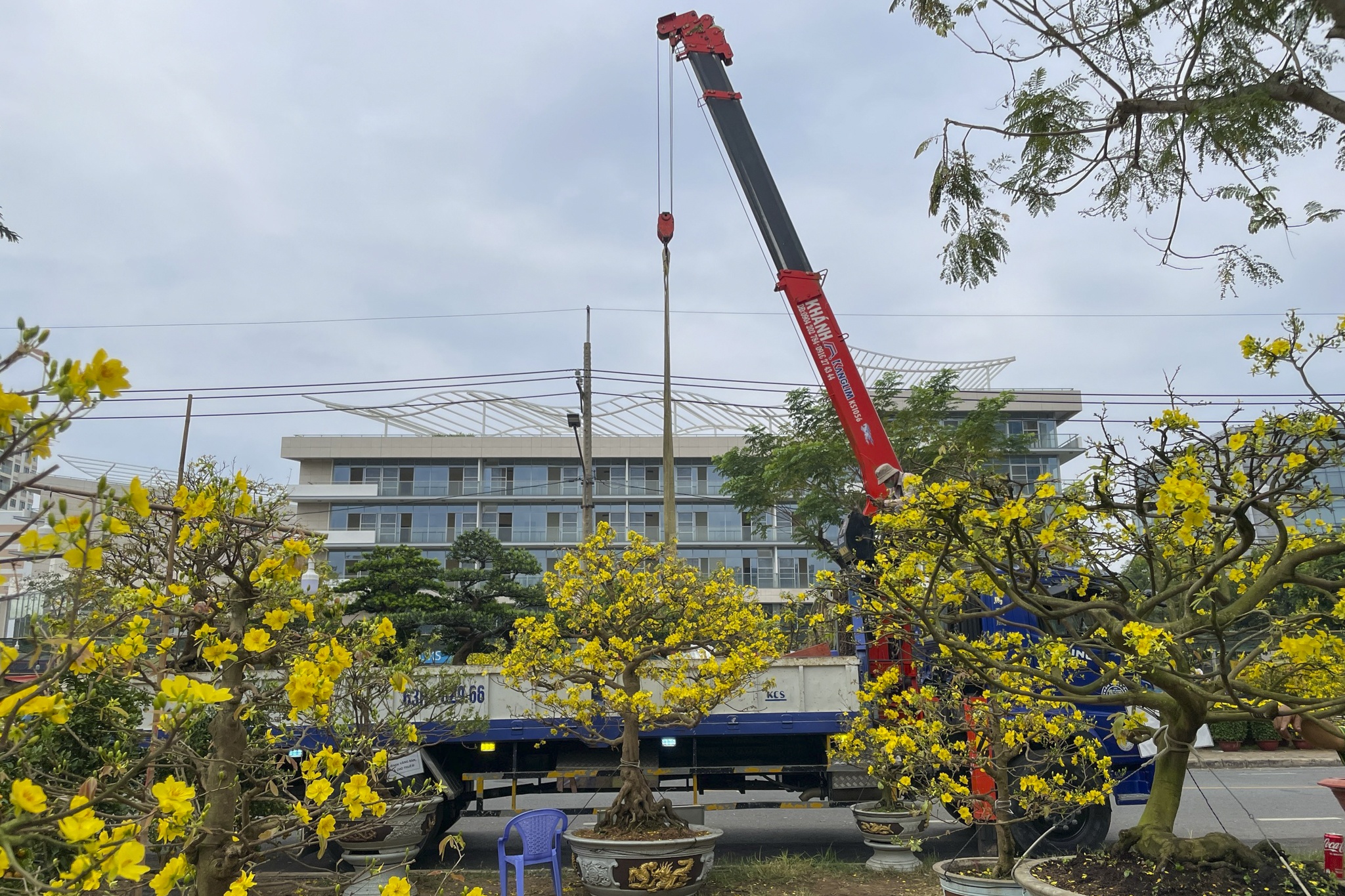 cho hoa phu my hung anh 2