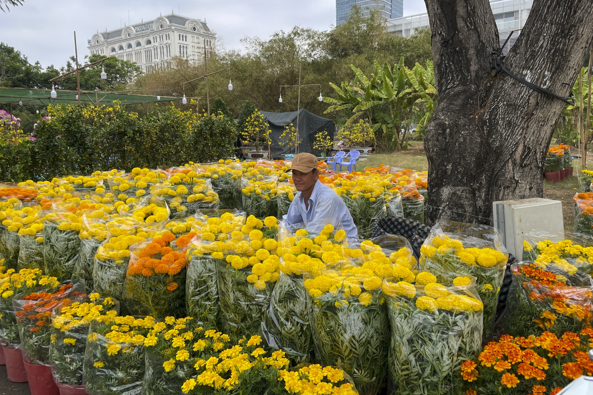 cho hoa phu my hung anh 9
