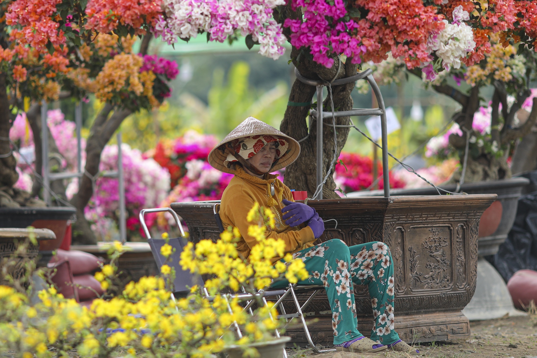 cho hoa phu my hung anh 4