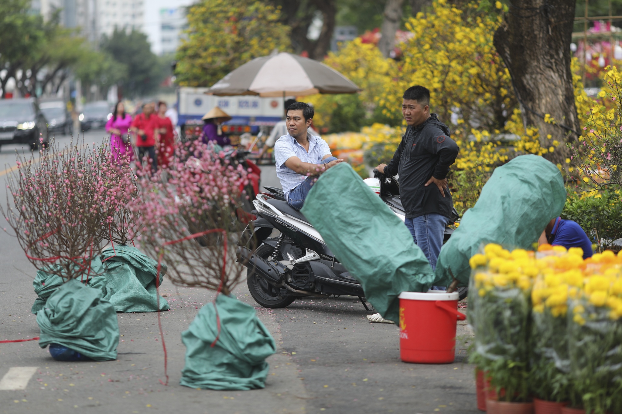 cho hoa phu my hung anh 11