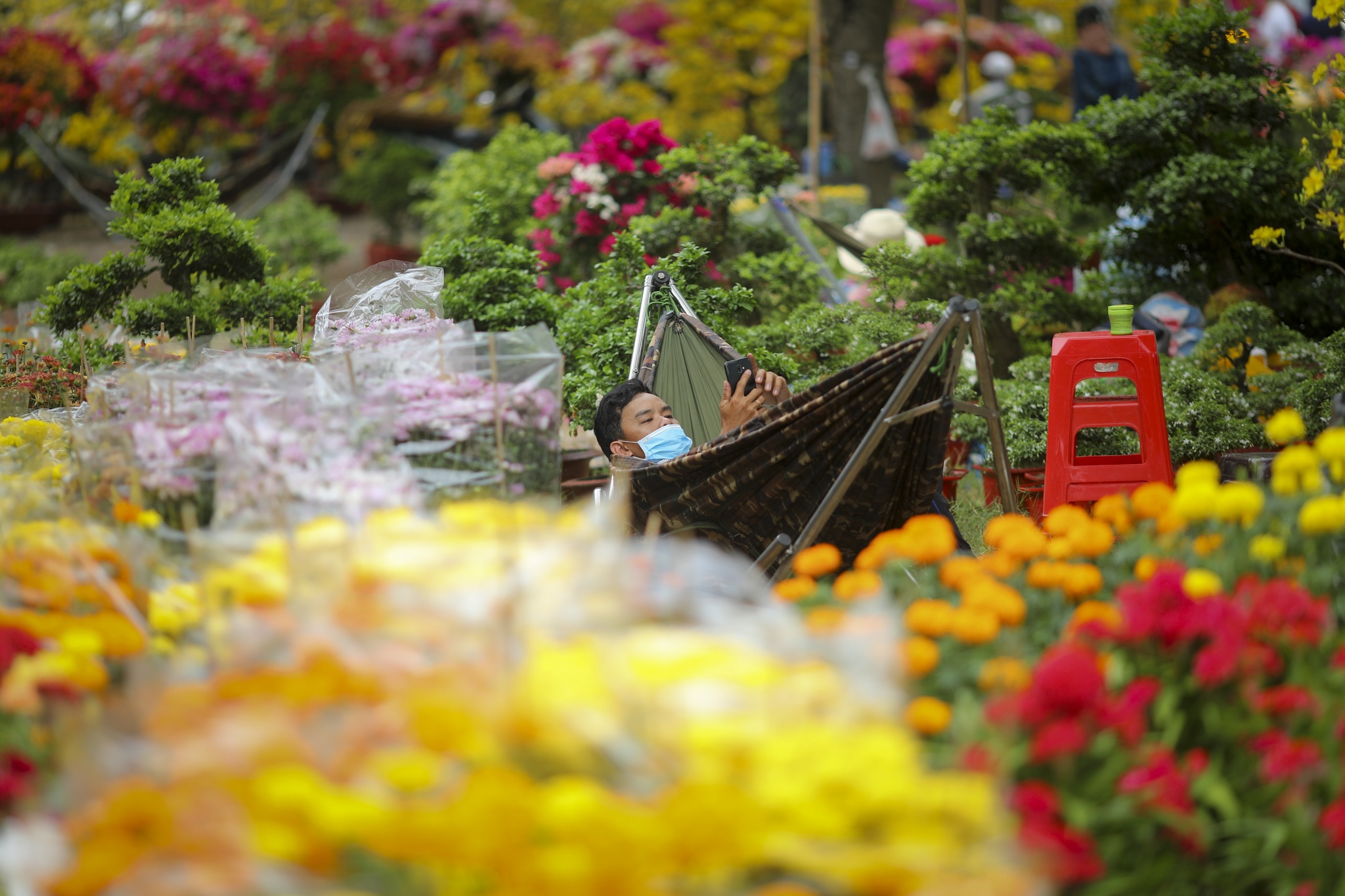 cho hoa phu my hung anh 6