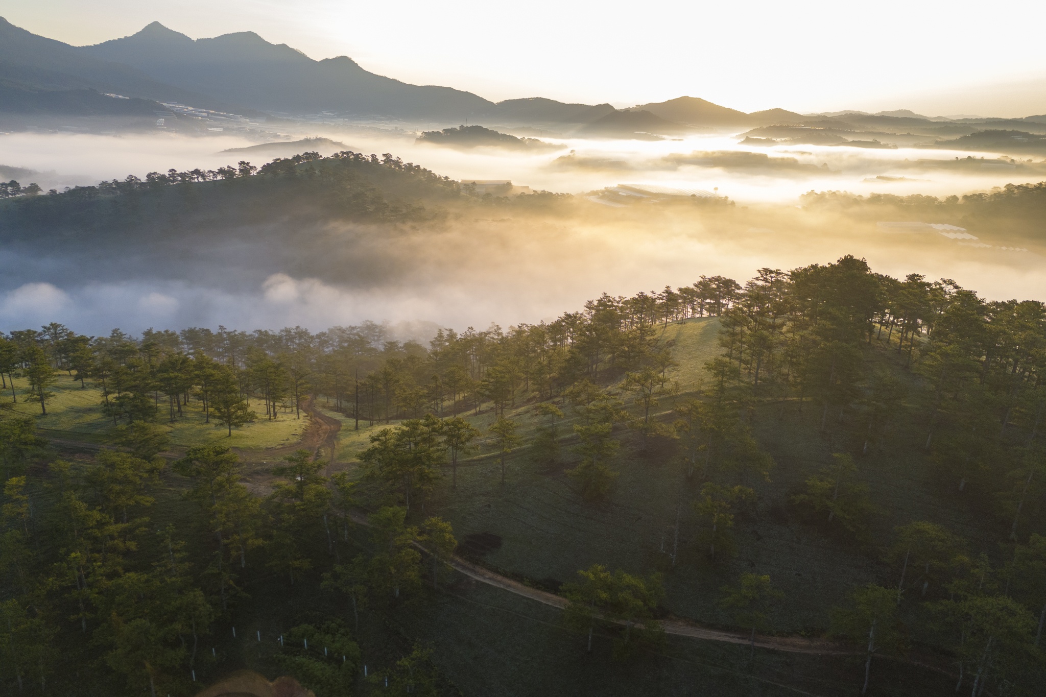 khach quoc te Da Lat anh 7