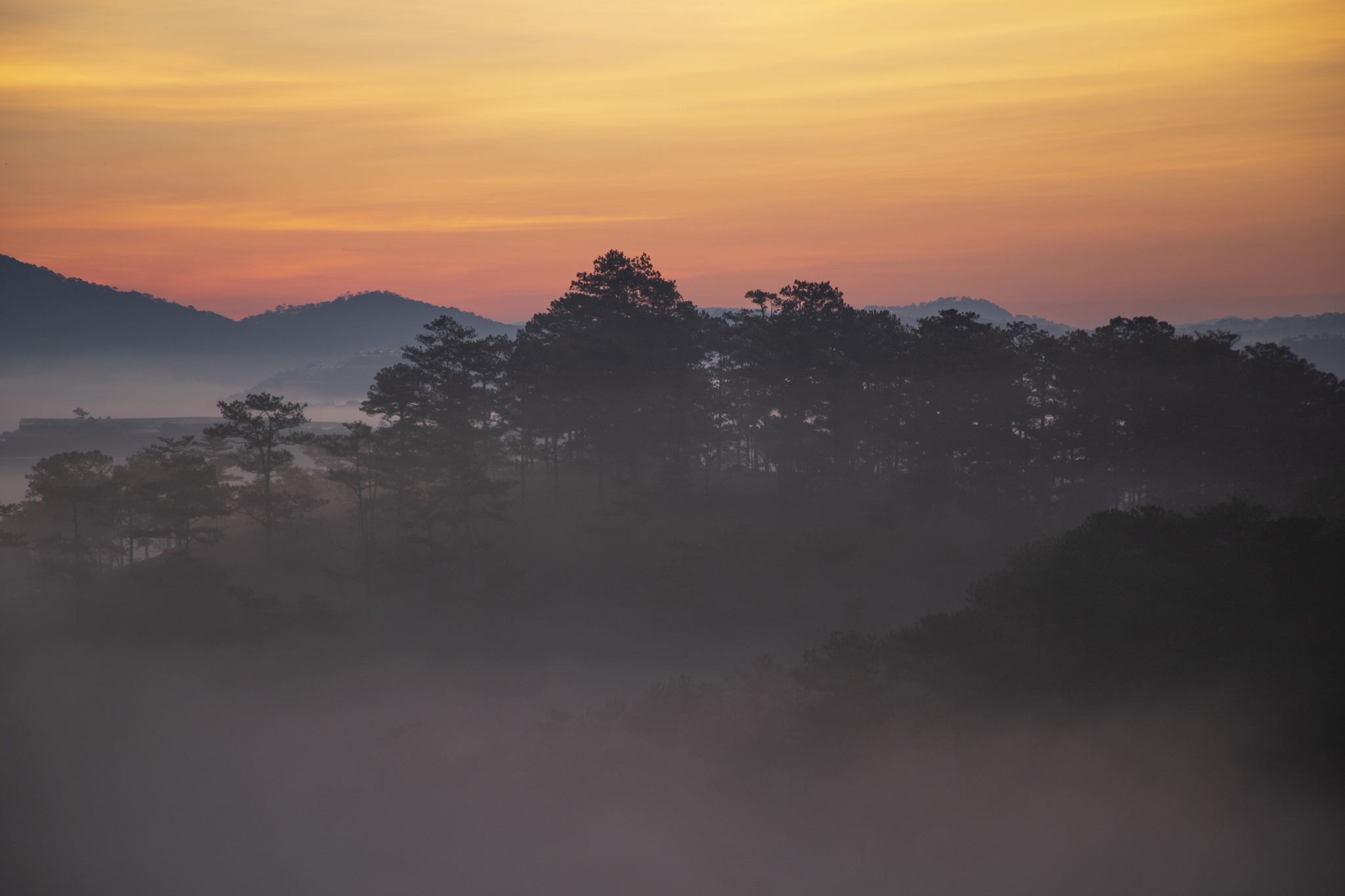 san may da lat anh 5