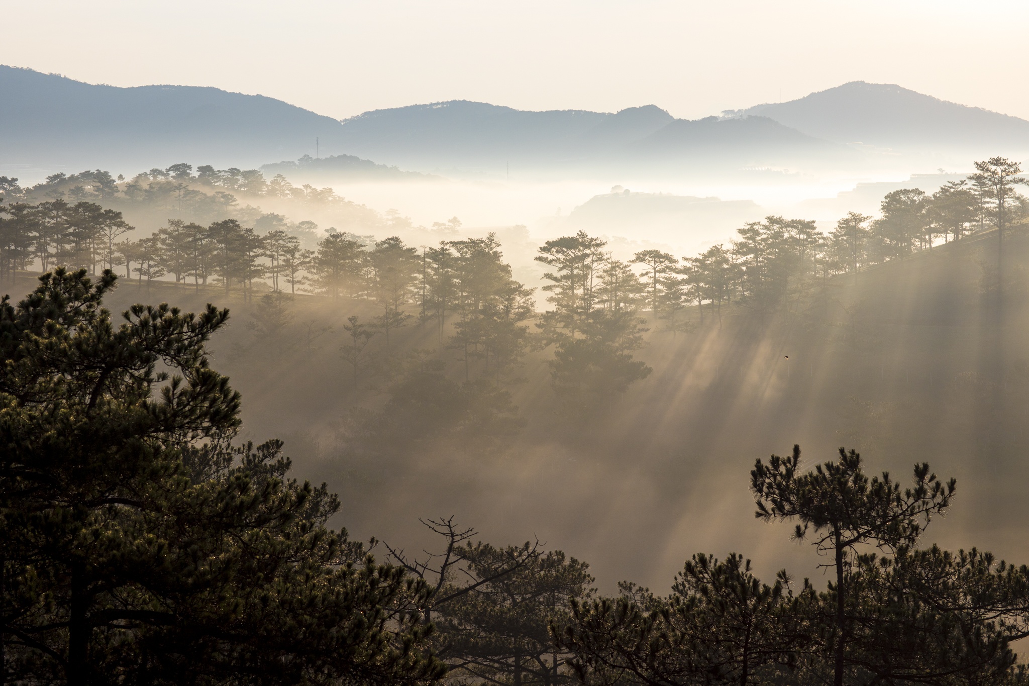 san may da lat anh 10