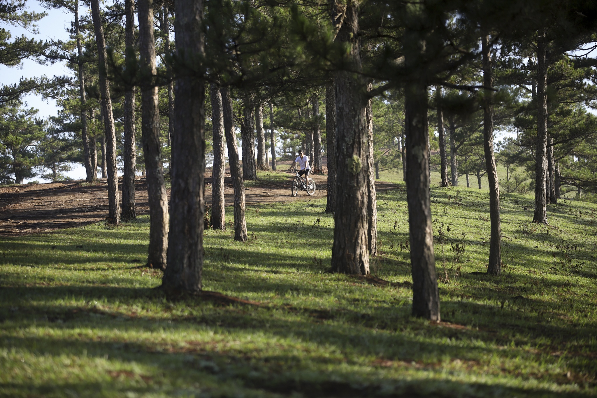 san may da lat anh 27