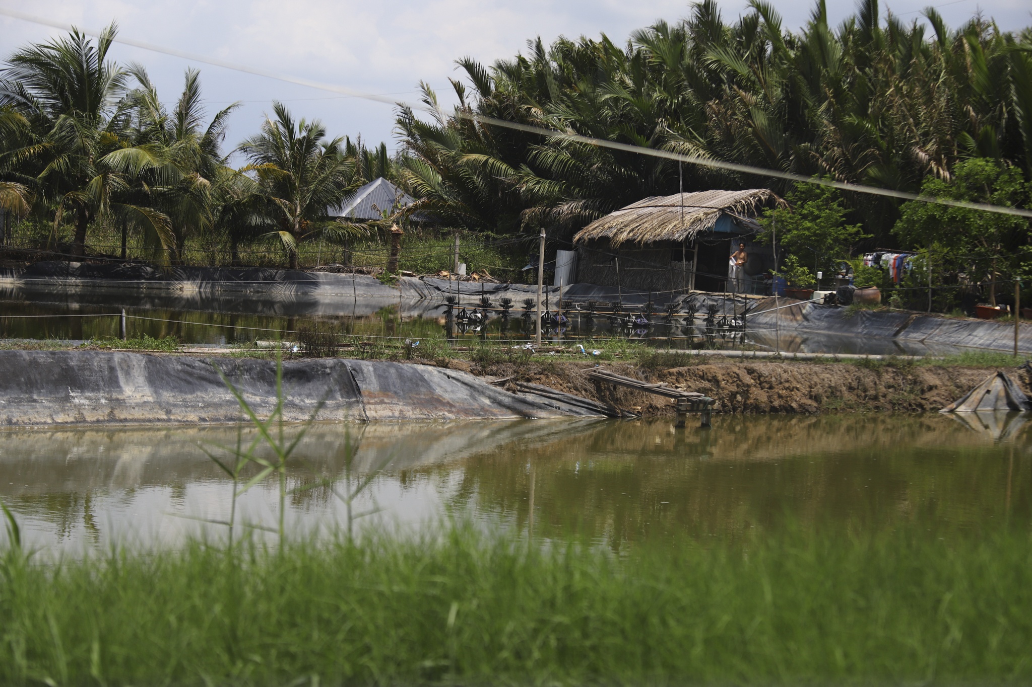 Vi tri Cau Can Gio anh 8