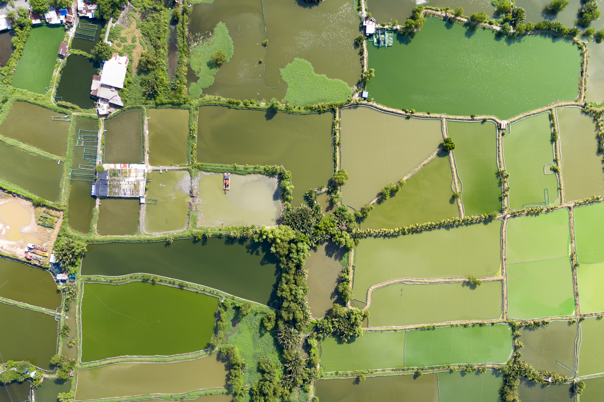 5 cum do thi PMH anh 24