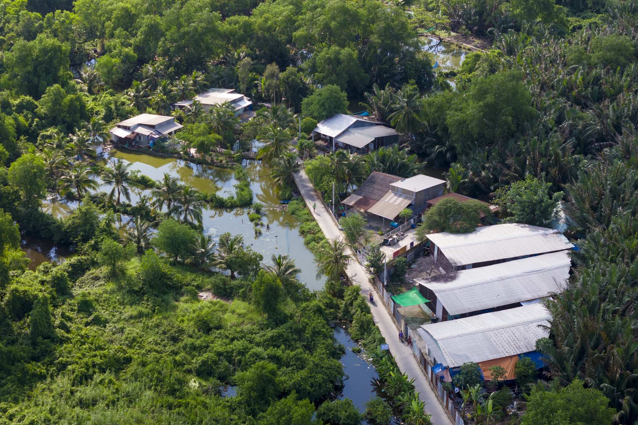 5 cum do thi PMH anh 16