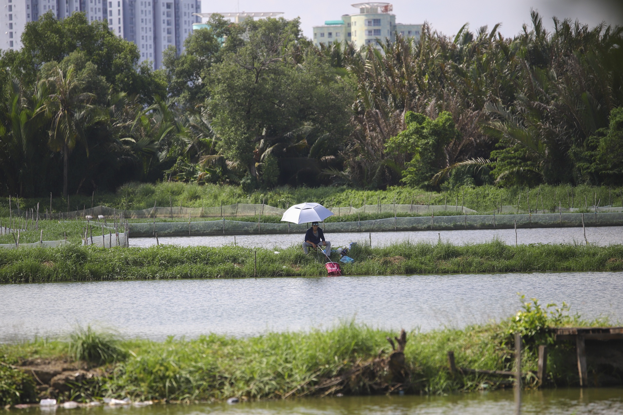 5 cụm đô thị PMH ảnh 21 5 cum do thi PMH anh 21