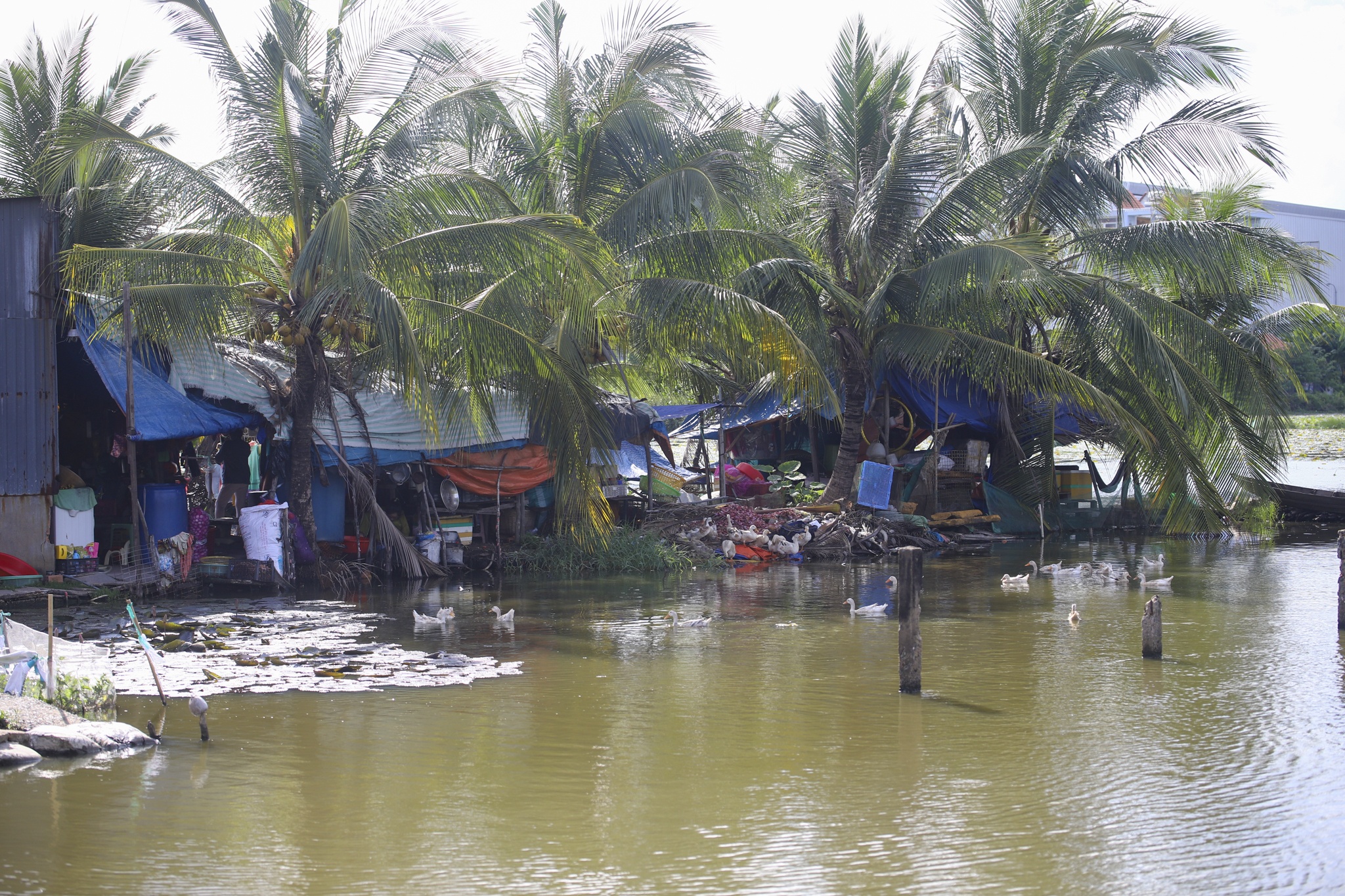 5 cụm đô thị PMH ảnh 14 5 cum do thi PMH anh 14