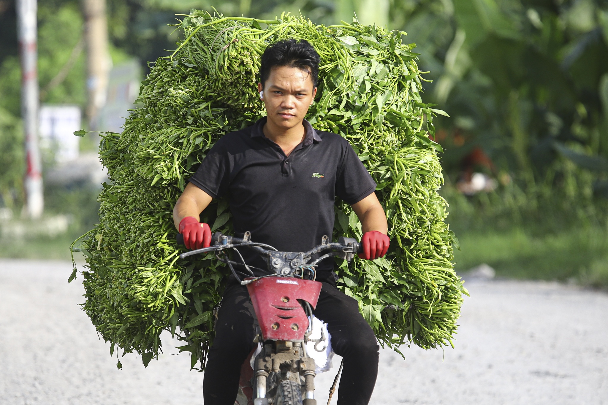 5 cụm đô thị PMH ảnh 8 5 cum do thi PMH anh 8