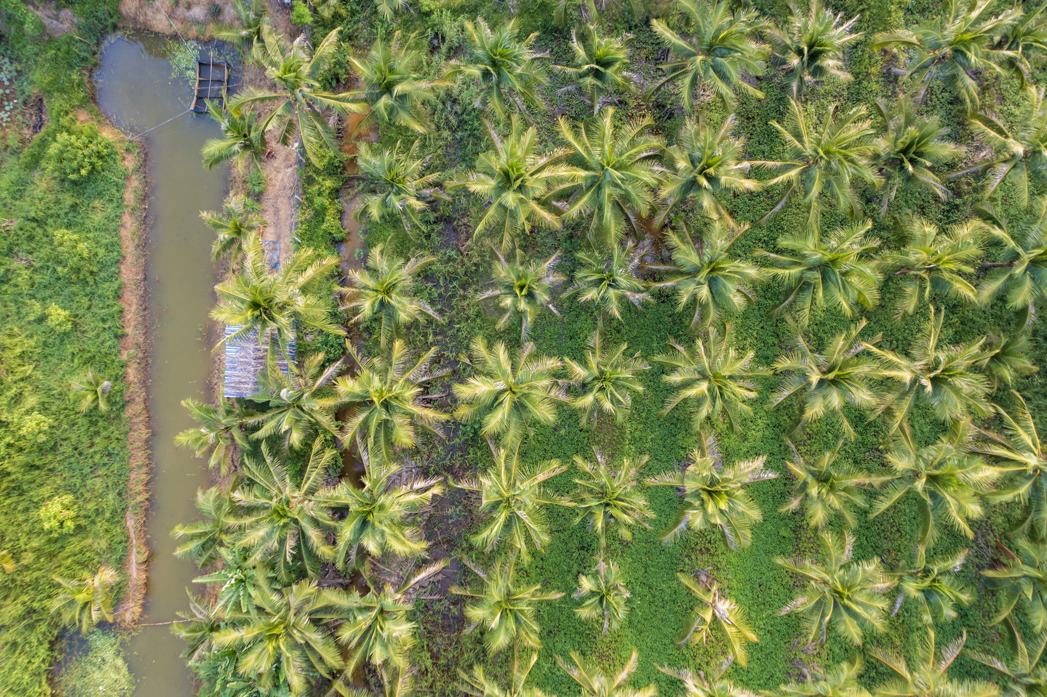 5 cụm đô thị PMH ảnh 6 5 cum do thi PMH anh 6