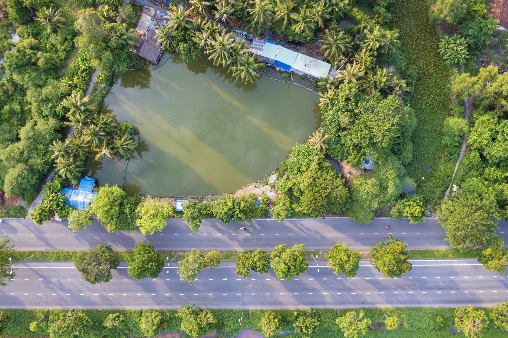 5 cum do thi PMH anh 4