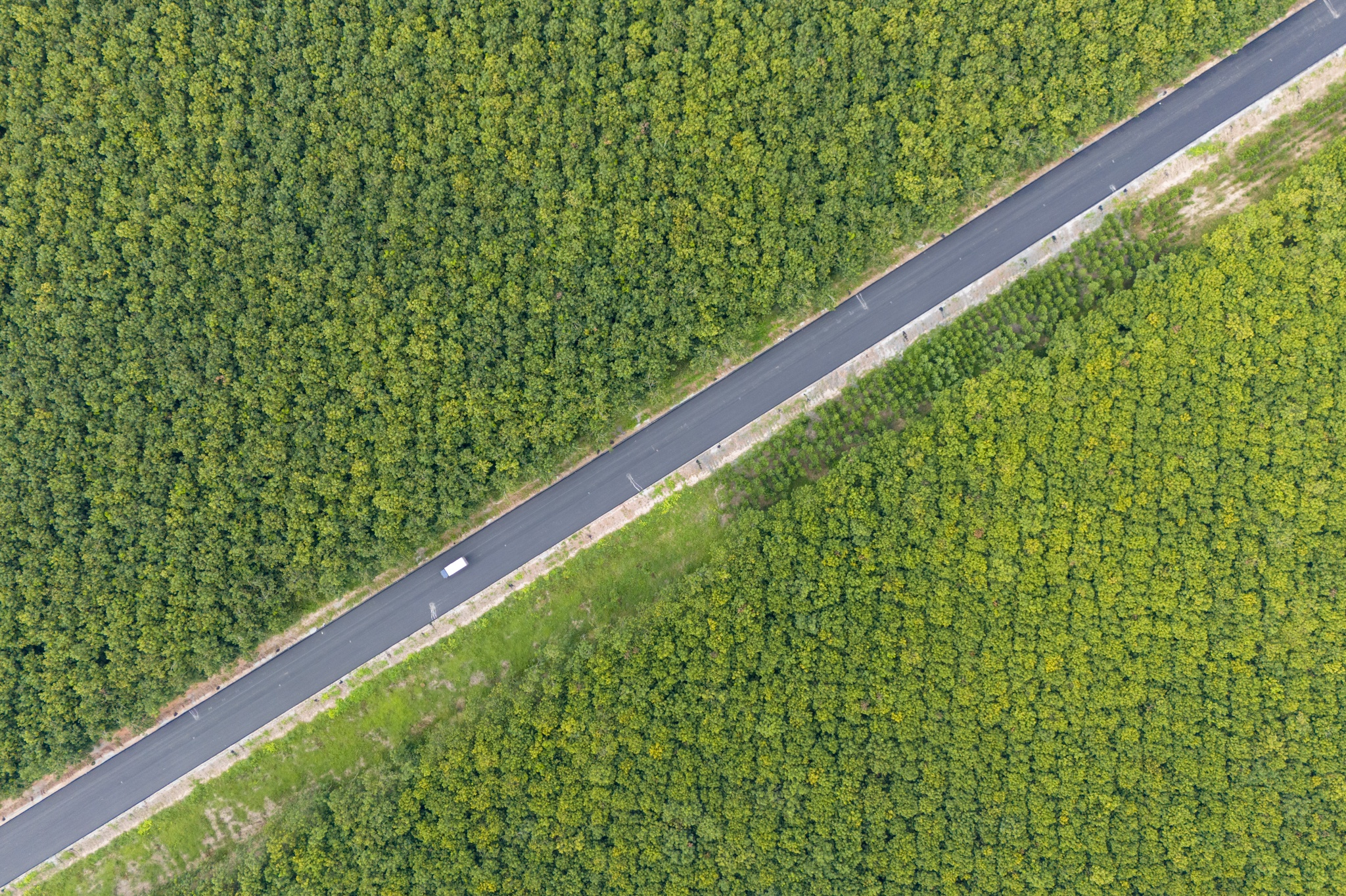 duong ho chi minh anh 7