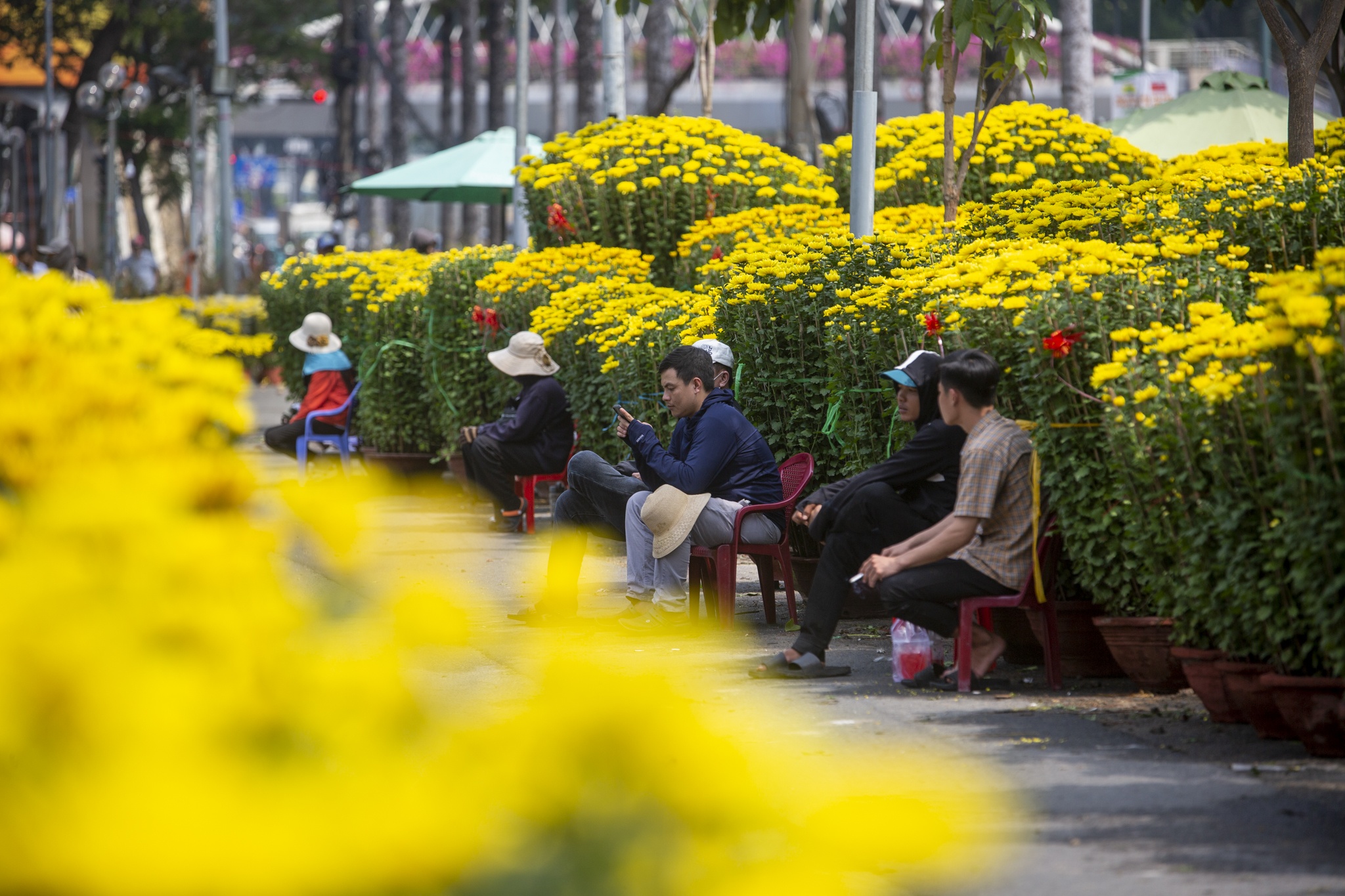 Cho hoa TP.HCM thua thot, nguoi ban ngoi om dien thoai het ngay hinh anh