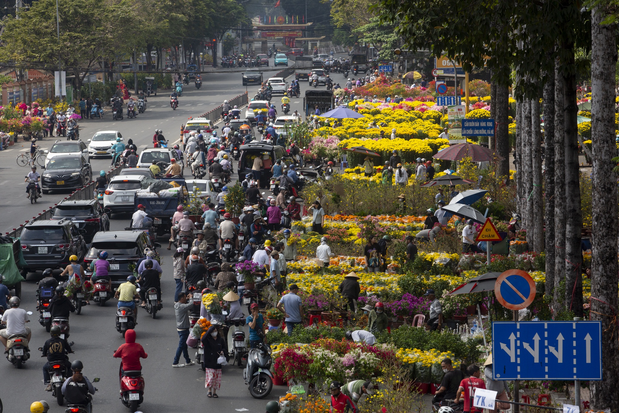 cho hoa gia dinh anh 14