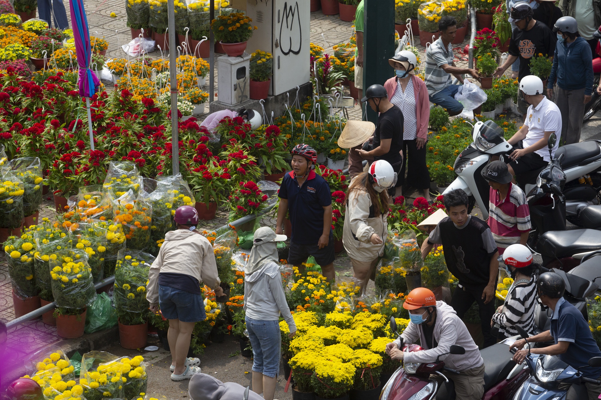 cho hoa gia dinh anh 3