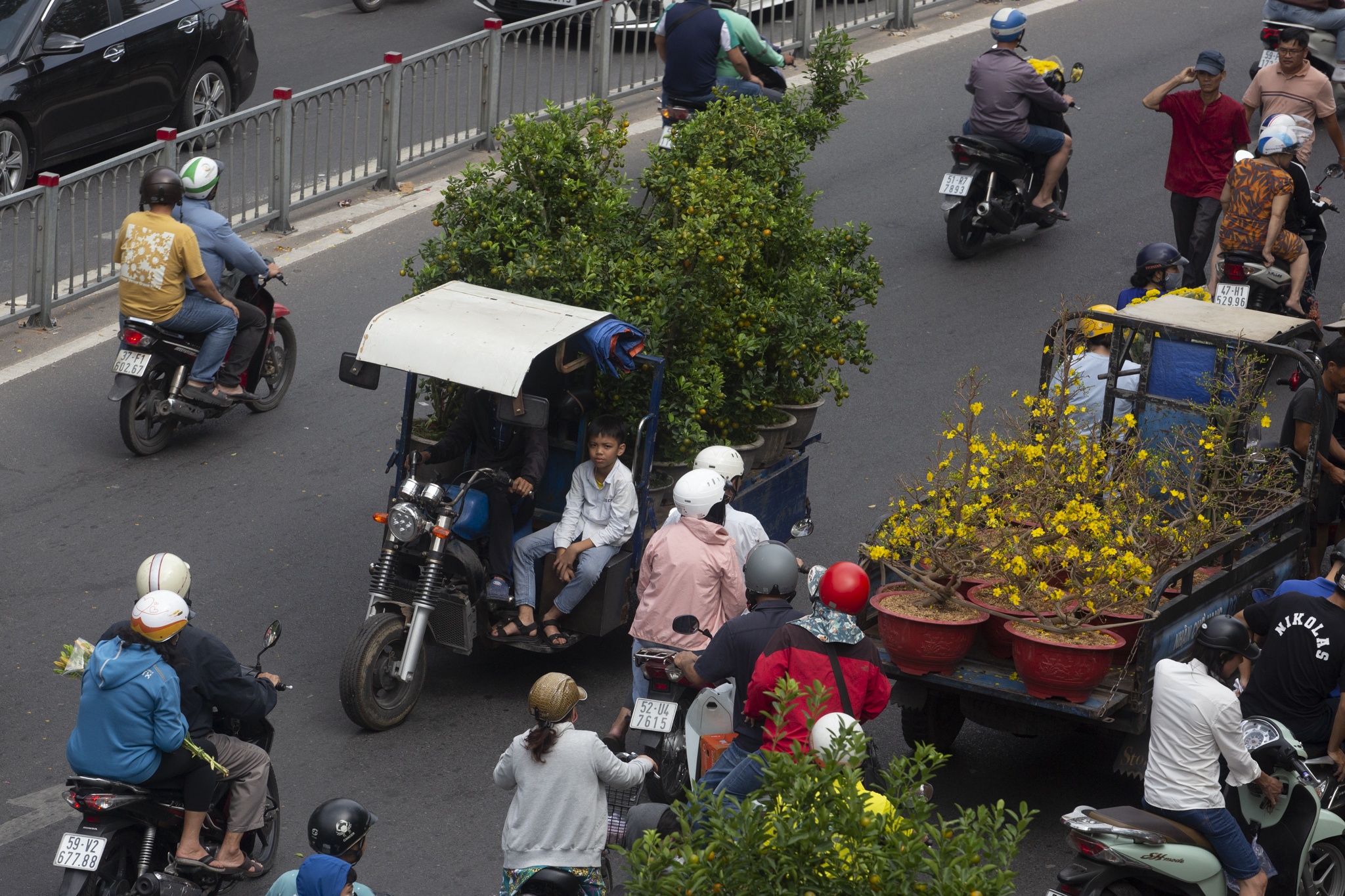 cho hoa gia dinh anh 10