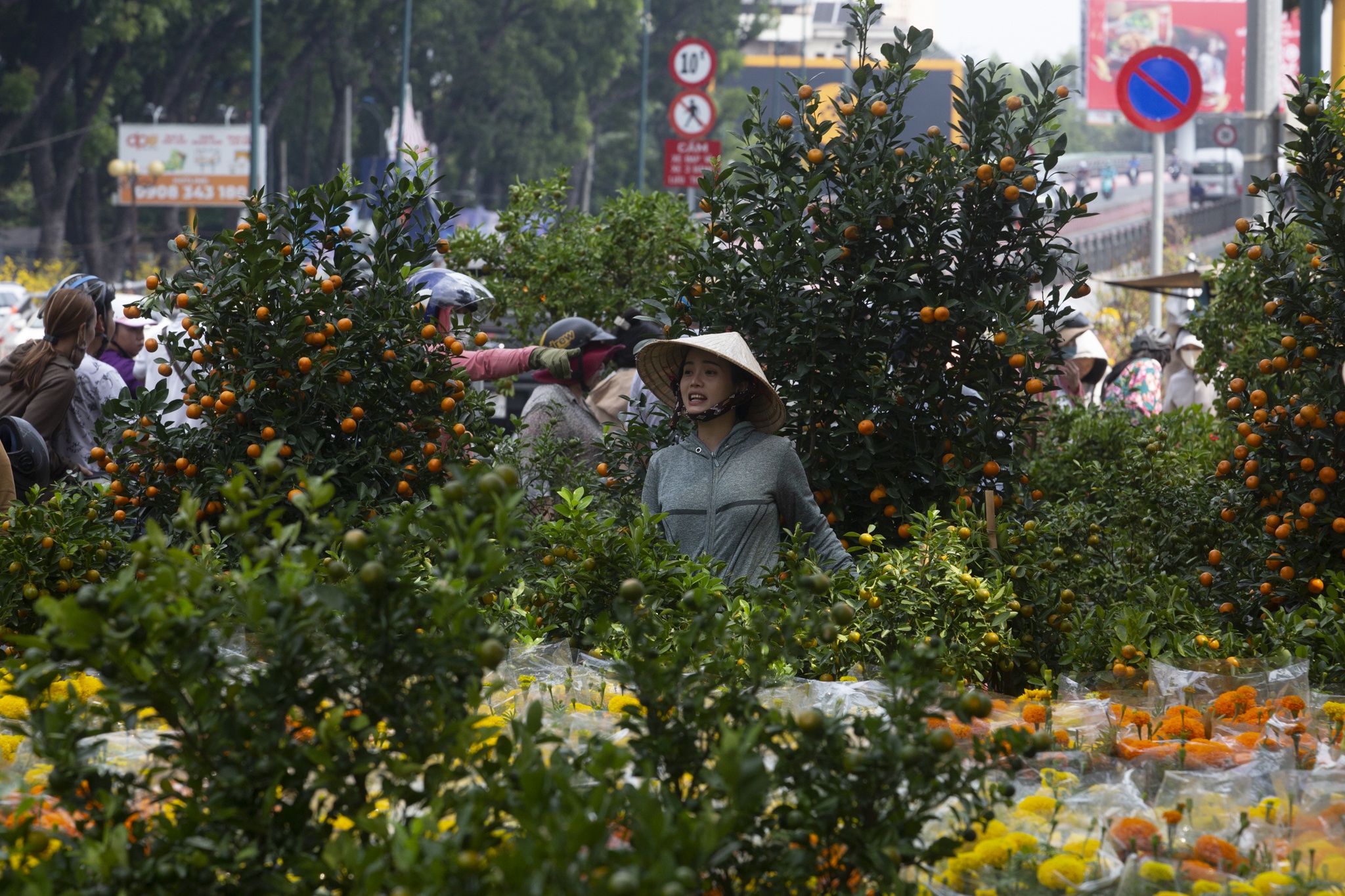 cho hoa gia dinh anh 7