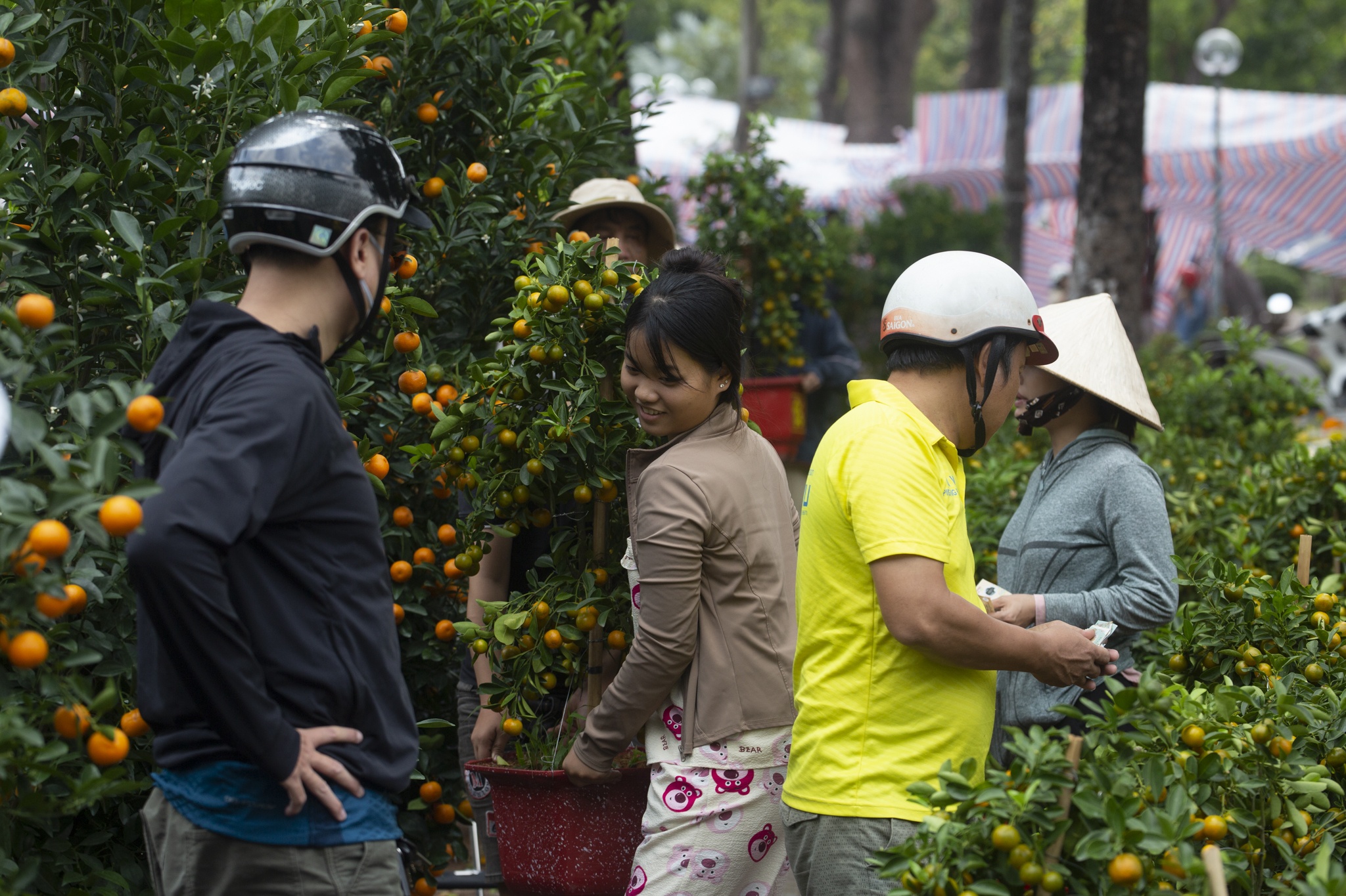 cho hoa gia dinh anh 8