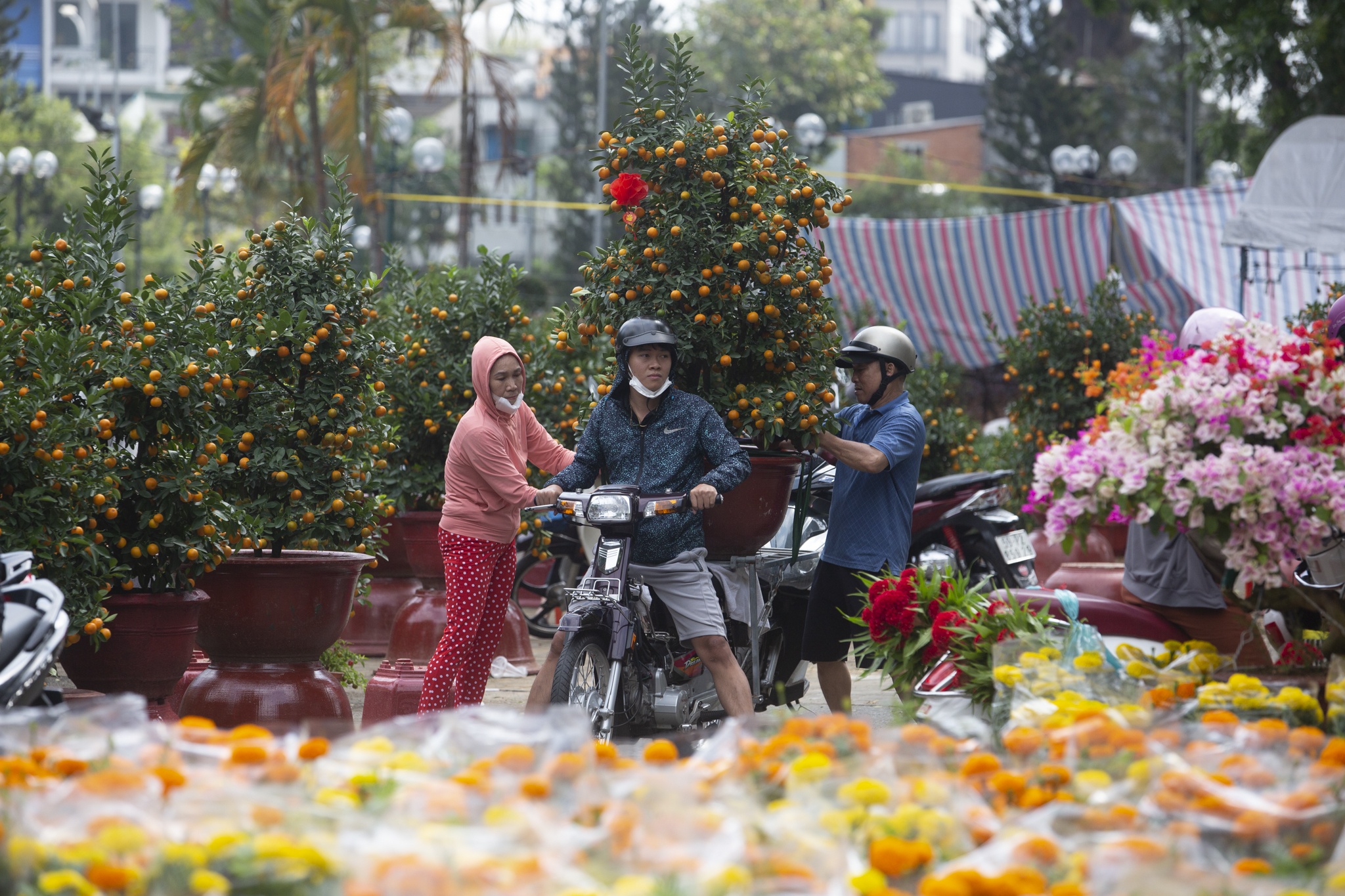 cho hoa gia dinh anh 9