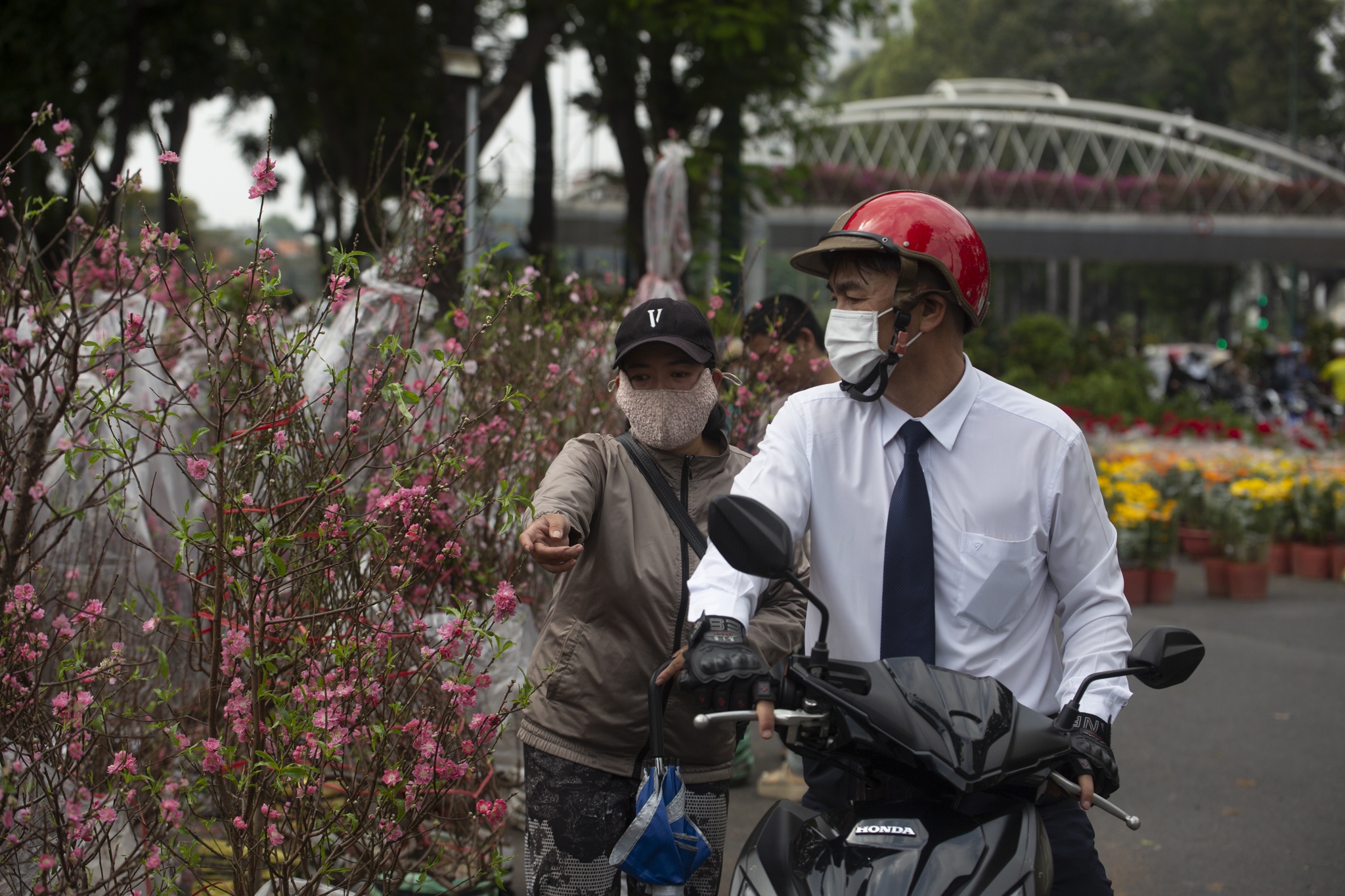 cho hoa gia dinh anh 12