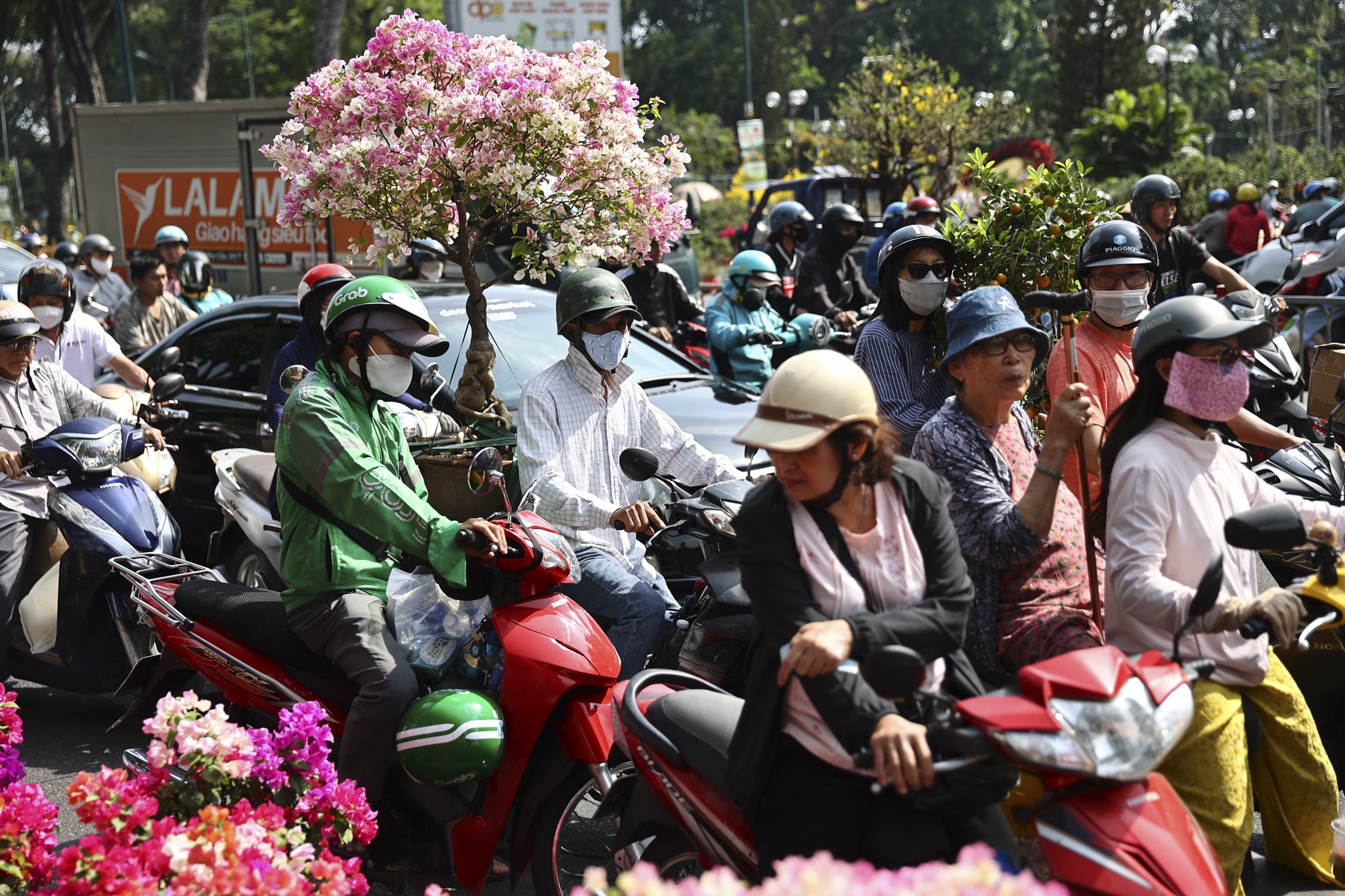 cho hoa gia dinh anh 2