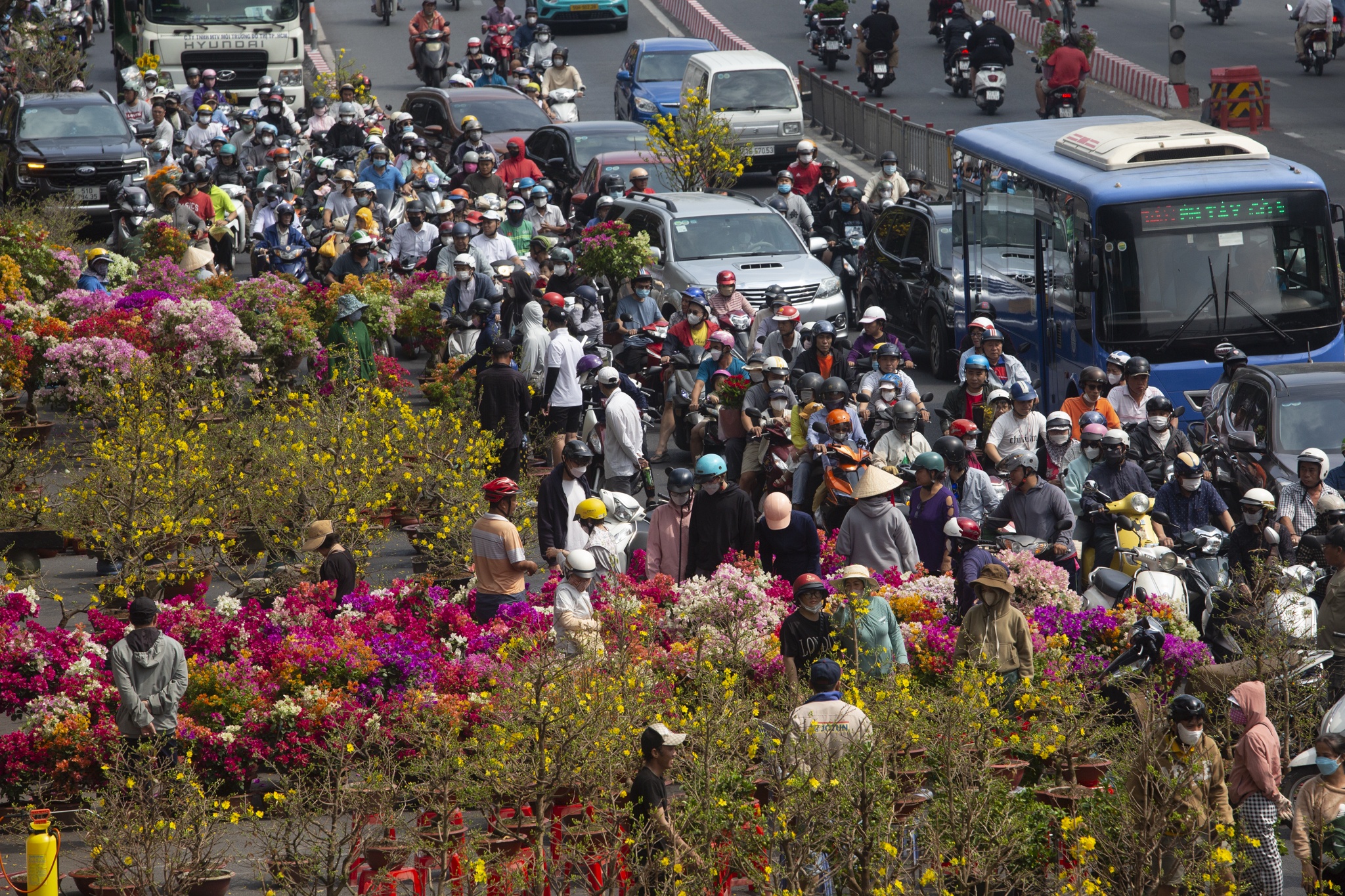 cho hoa gia dinh anh 1