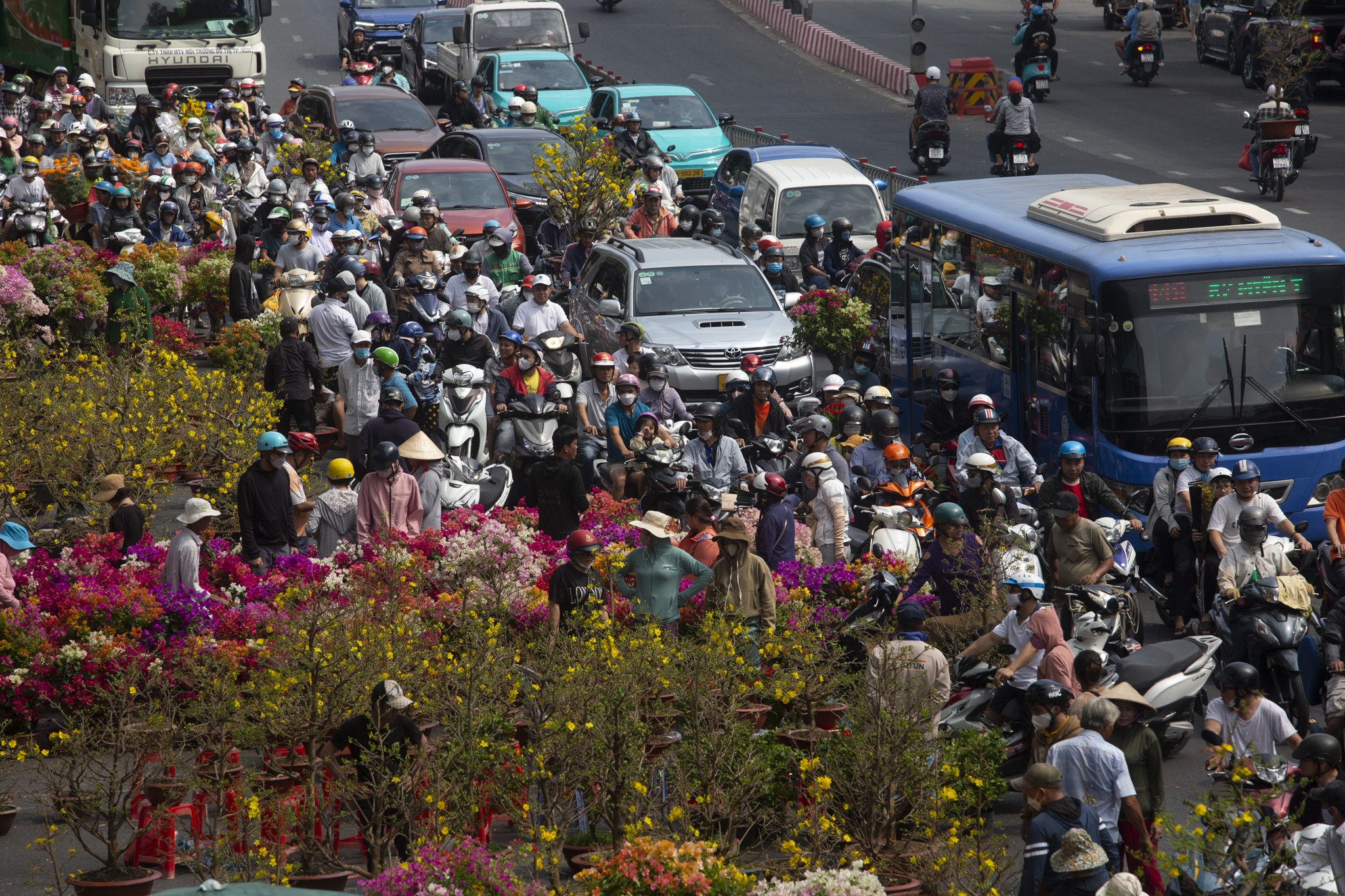 Do xo san hoa 'dai ha gia' ngay 29 Tet, duong pho TP.HCM un u hinh anh