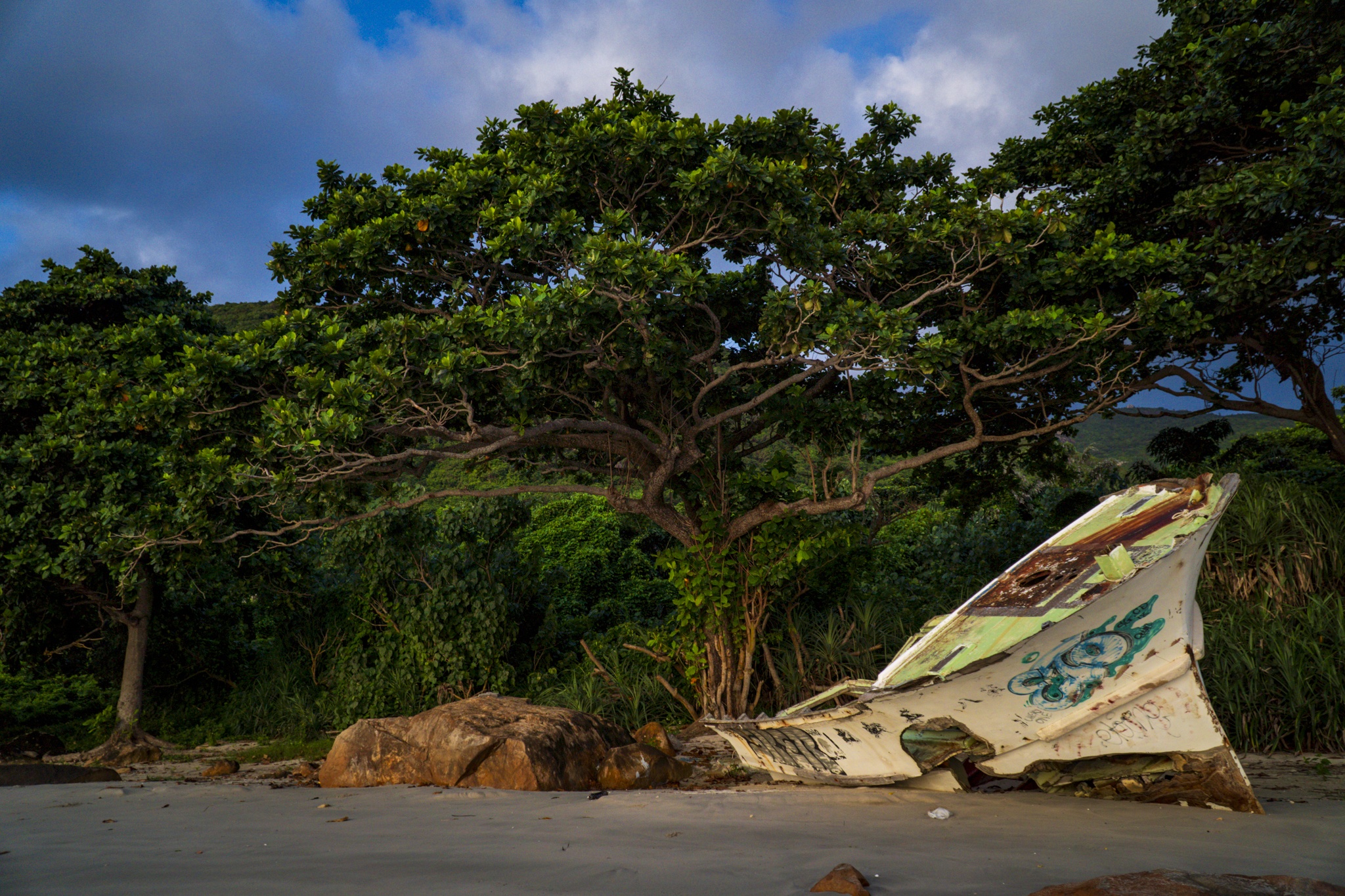 binh minh tai con dao anh 11