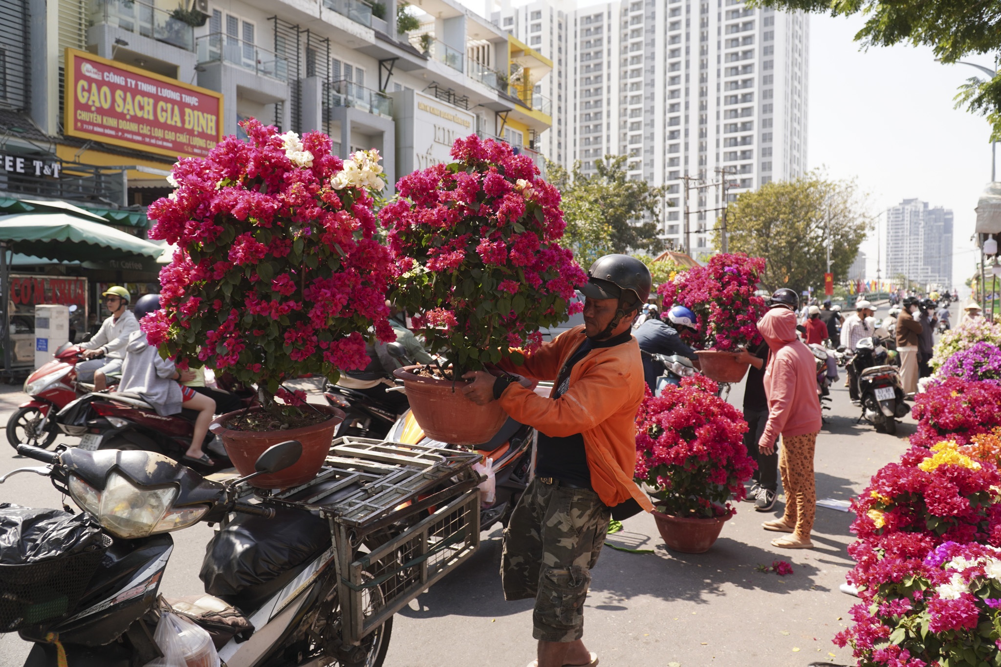 ben binh dong anh 10