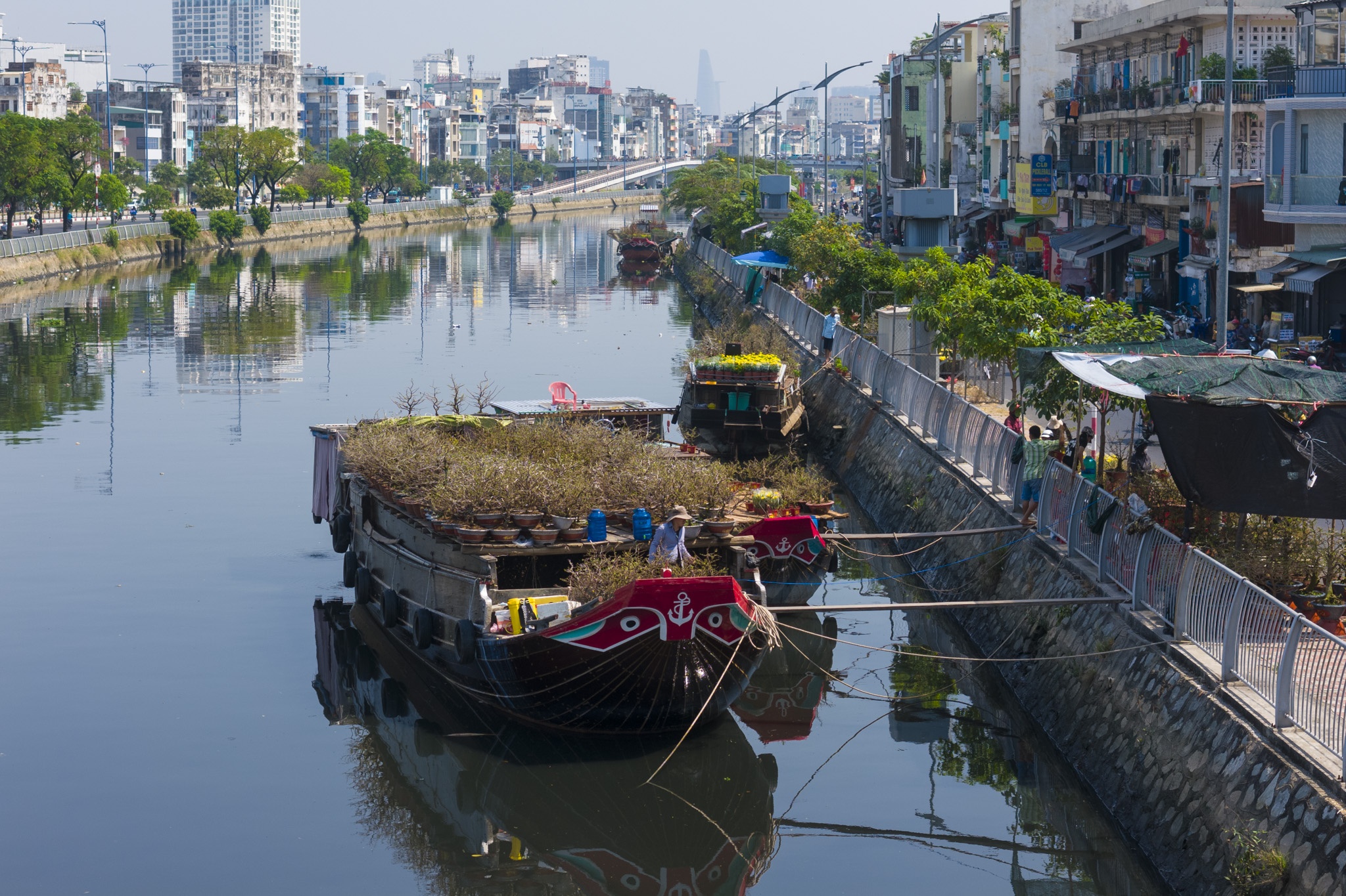 Ca cho hoa Ben Binh Dong chi lac dac vai ghe ban hoa kieng Tet hinh anh