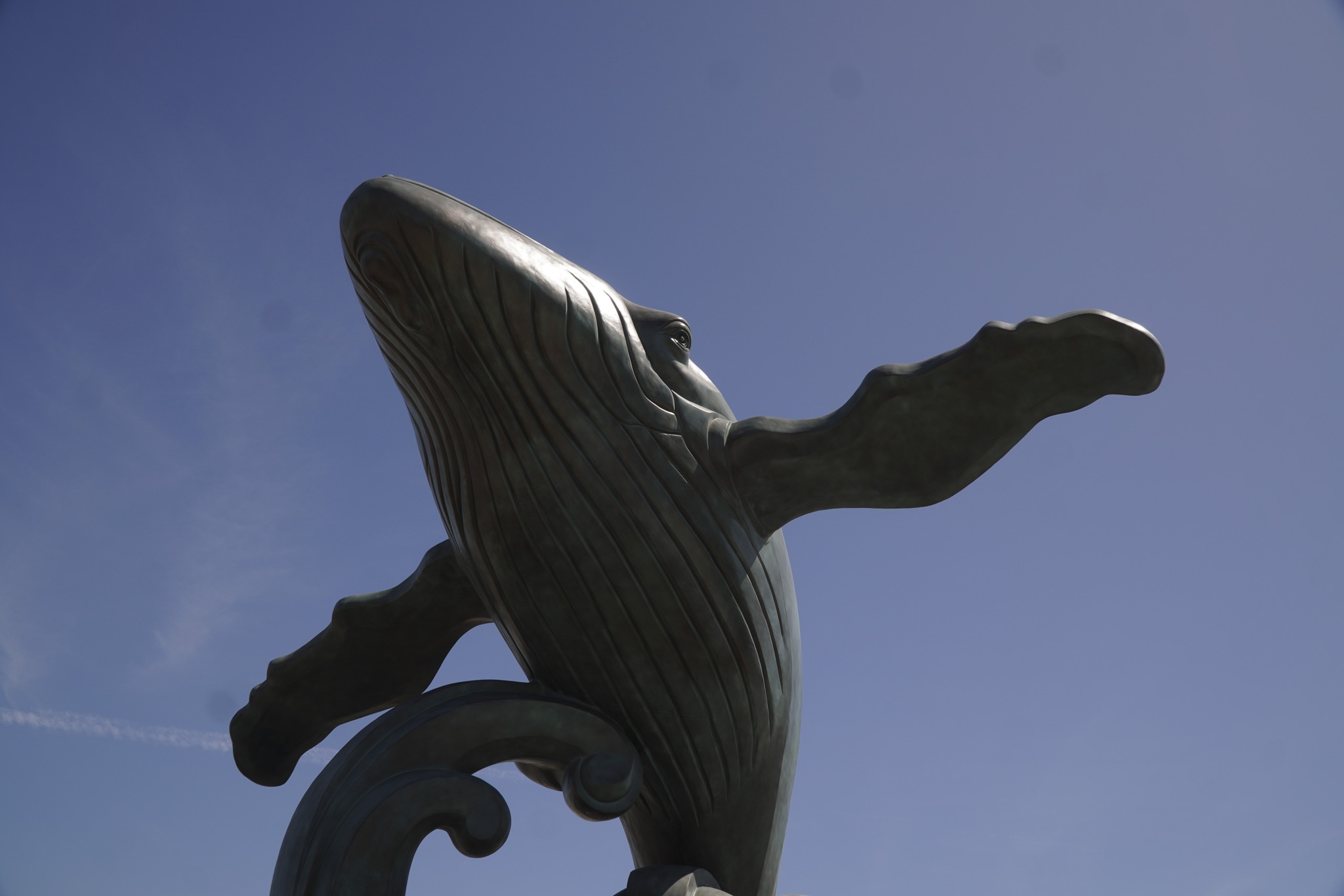 cong vien nuoc anh 12