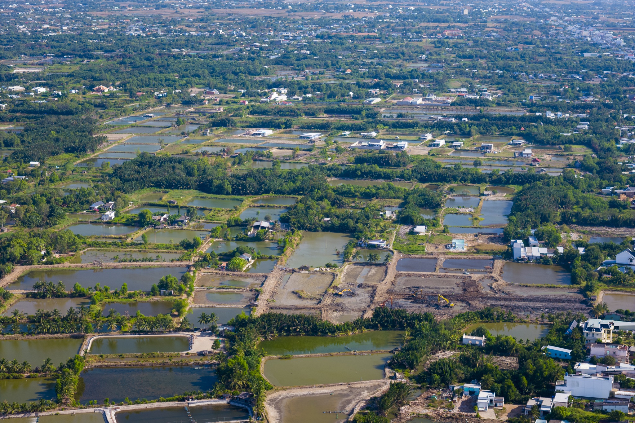 phuoc vinh tay anh 11