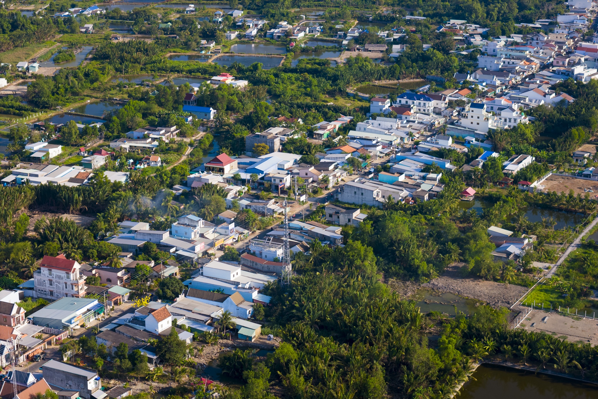 phuoc vinh tay anh 9