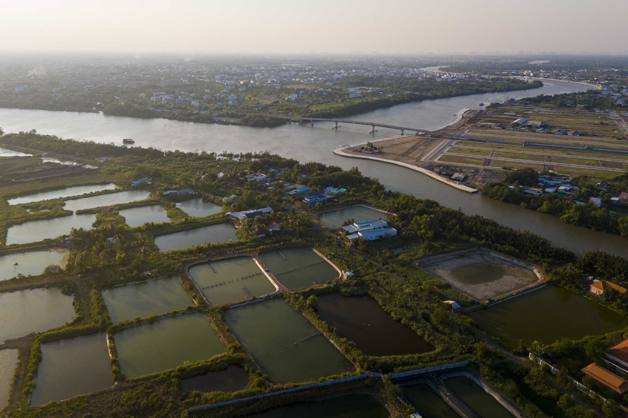 phuoc vinh tay anh 10