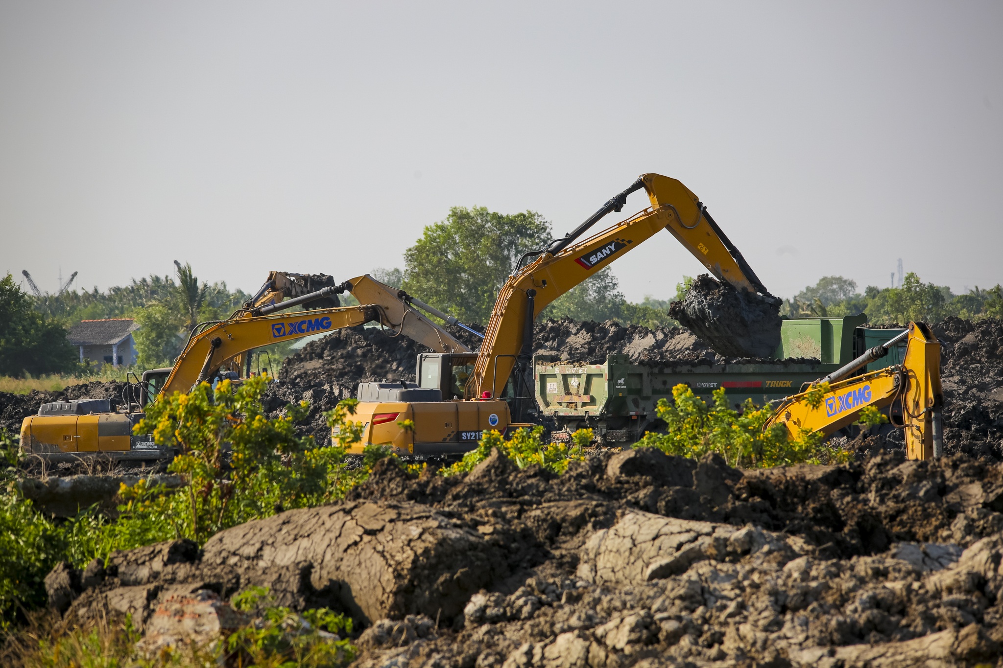 phuoc vinh tay anh 5