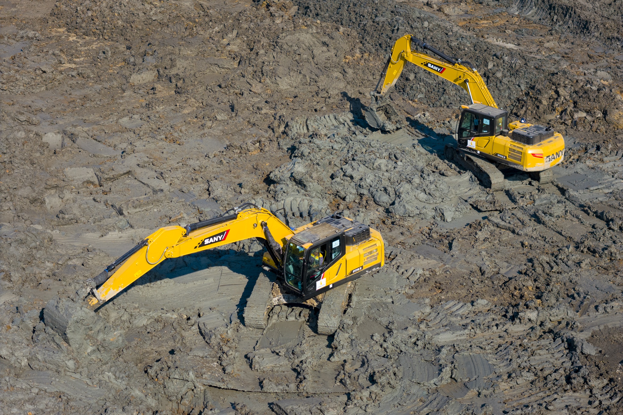 phuoc vinh tay anh 7