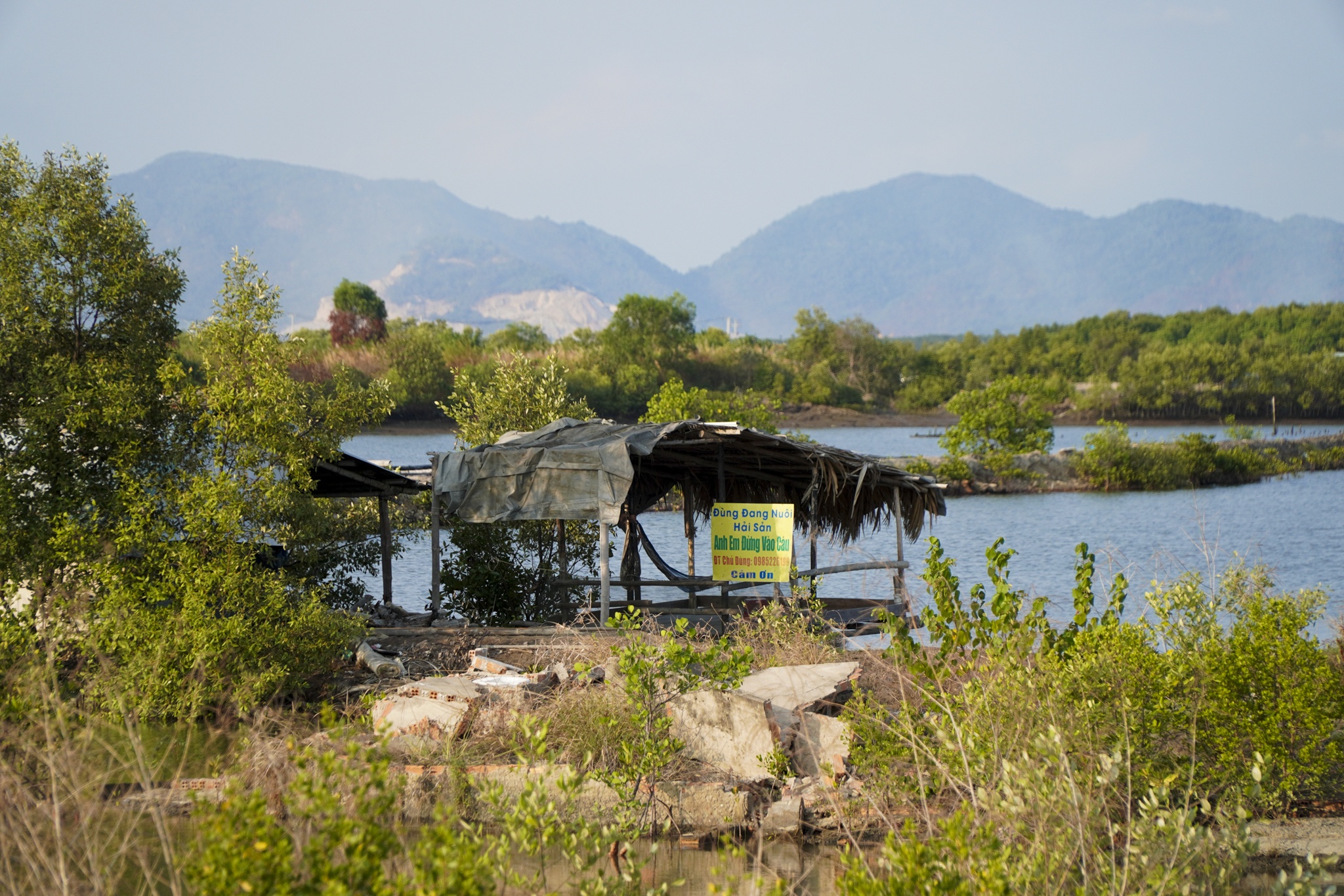 cang cai mep ha anh 6