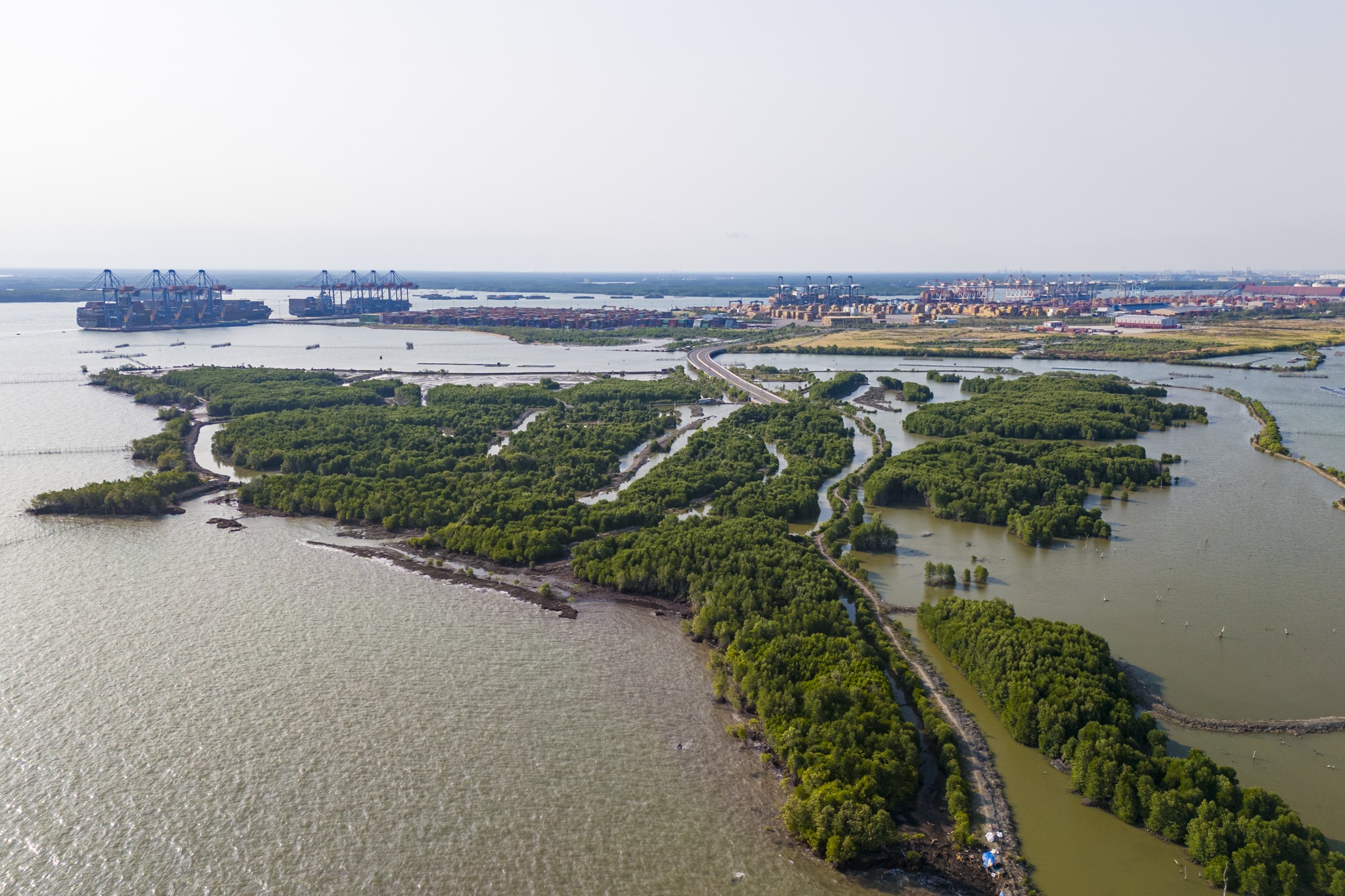 Vi tri lien danh Geleximco sap xay sieu cang Cai Mep Ha gan 2 ty USD hinh anh