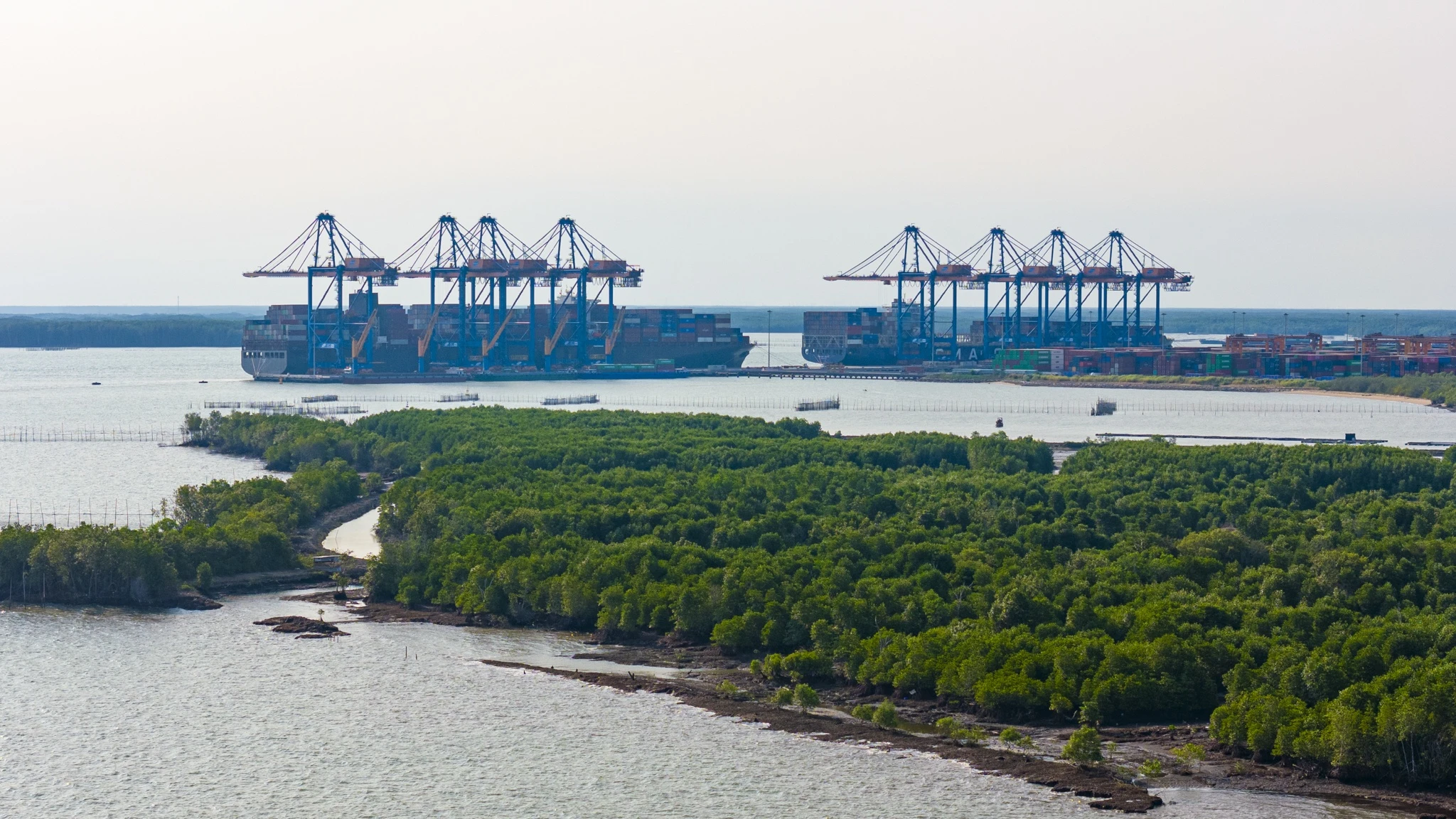 cang cai mep ha anh 10