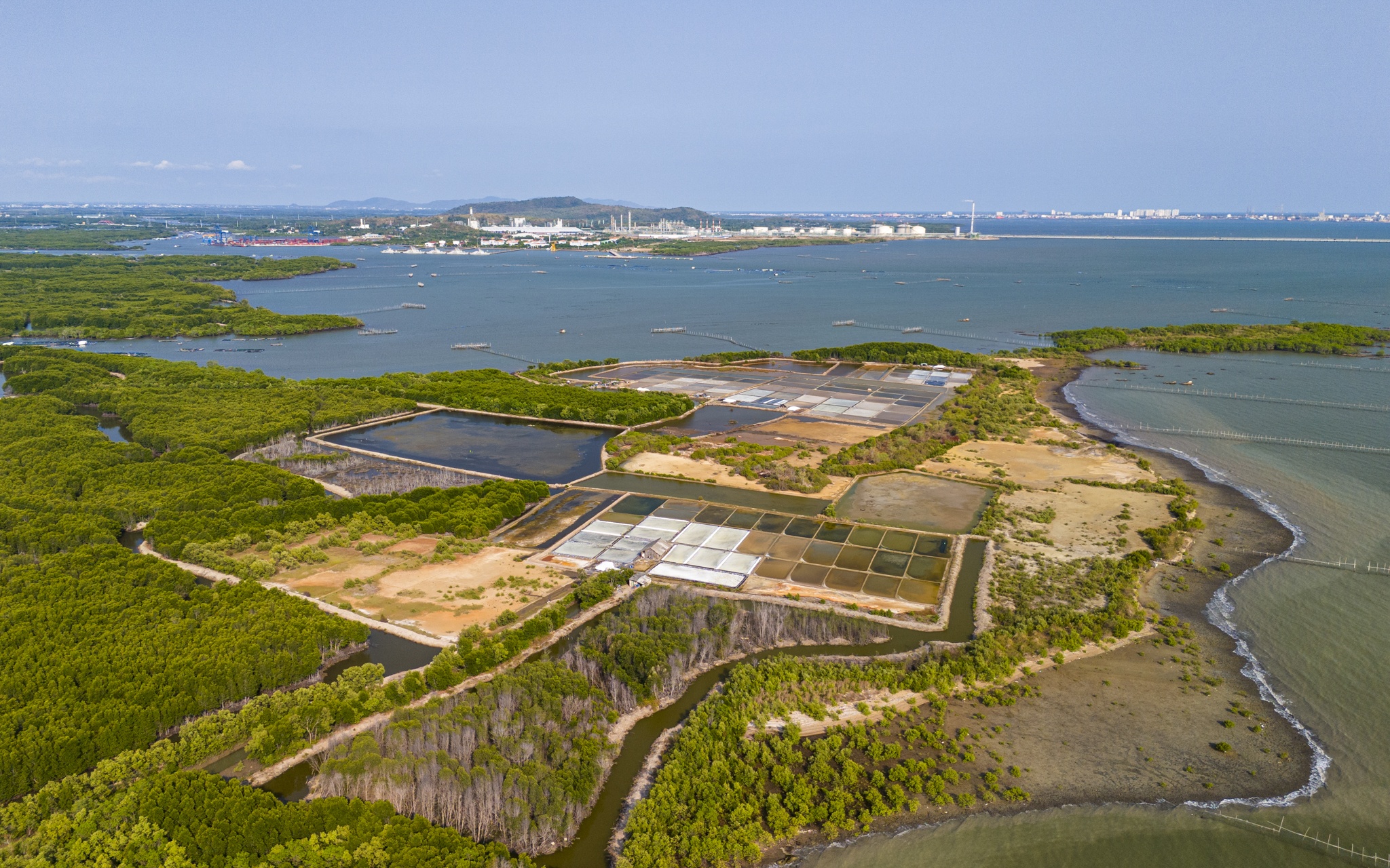 cang cai mep ha anh 7