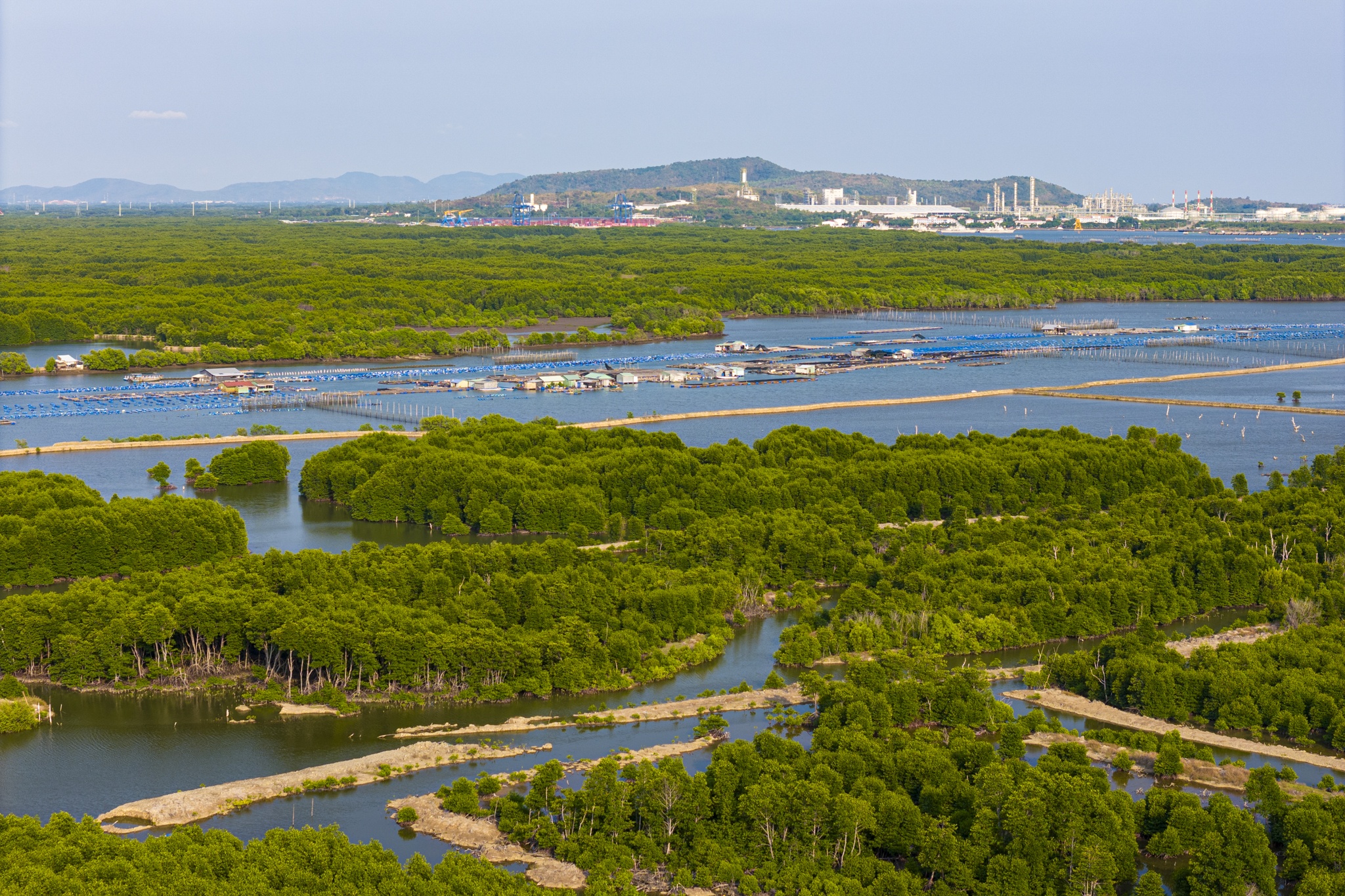 cang cai mep ha anh 14