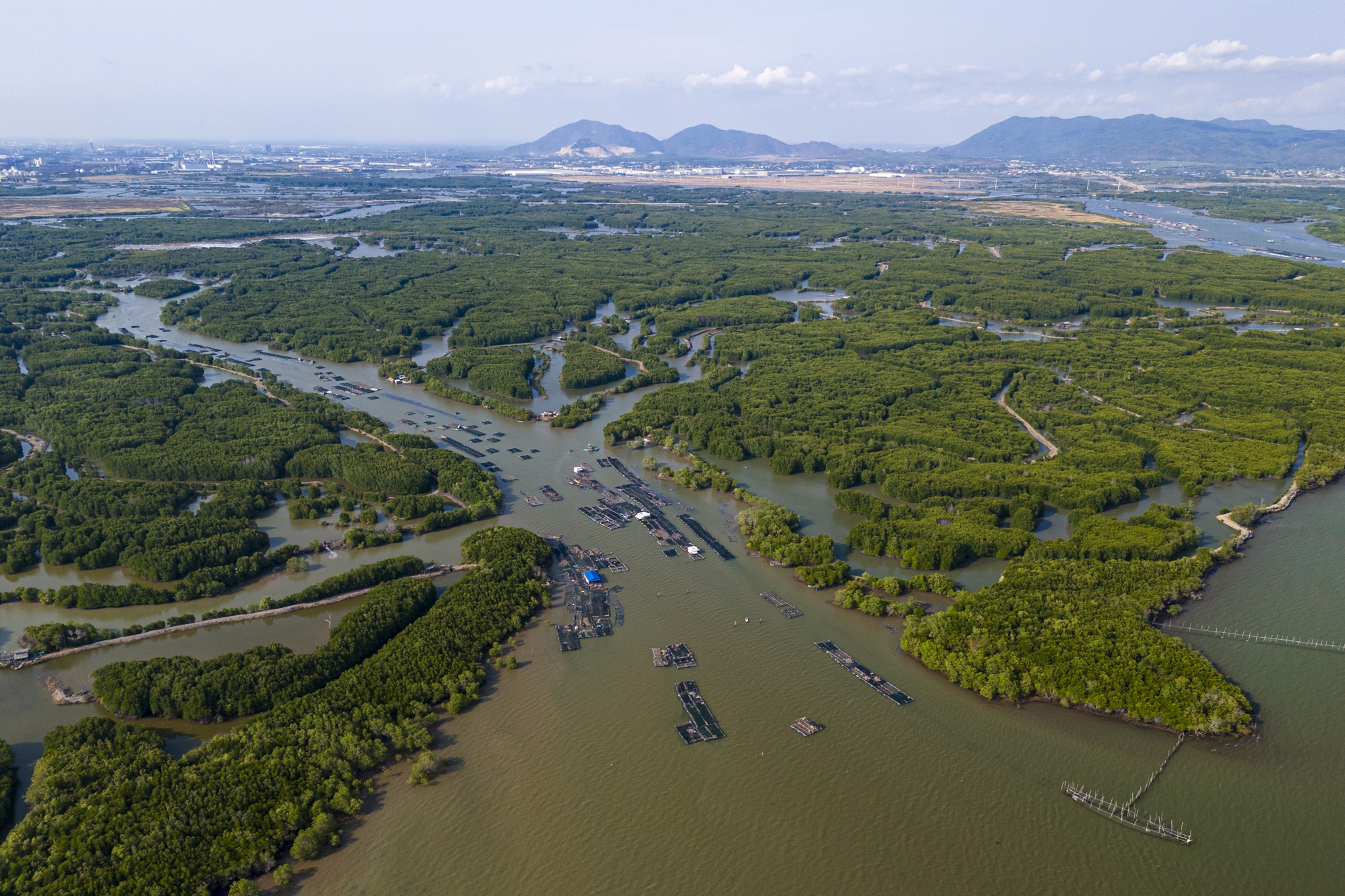 cang cai mep ha anh 8